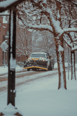 A snowplow truck clearing a snowy road lined with bare trees. Snow is accumulated on the branches and the street, creating a wintry urban scene.
