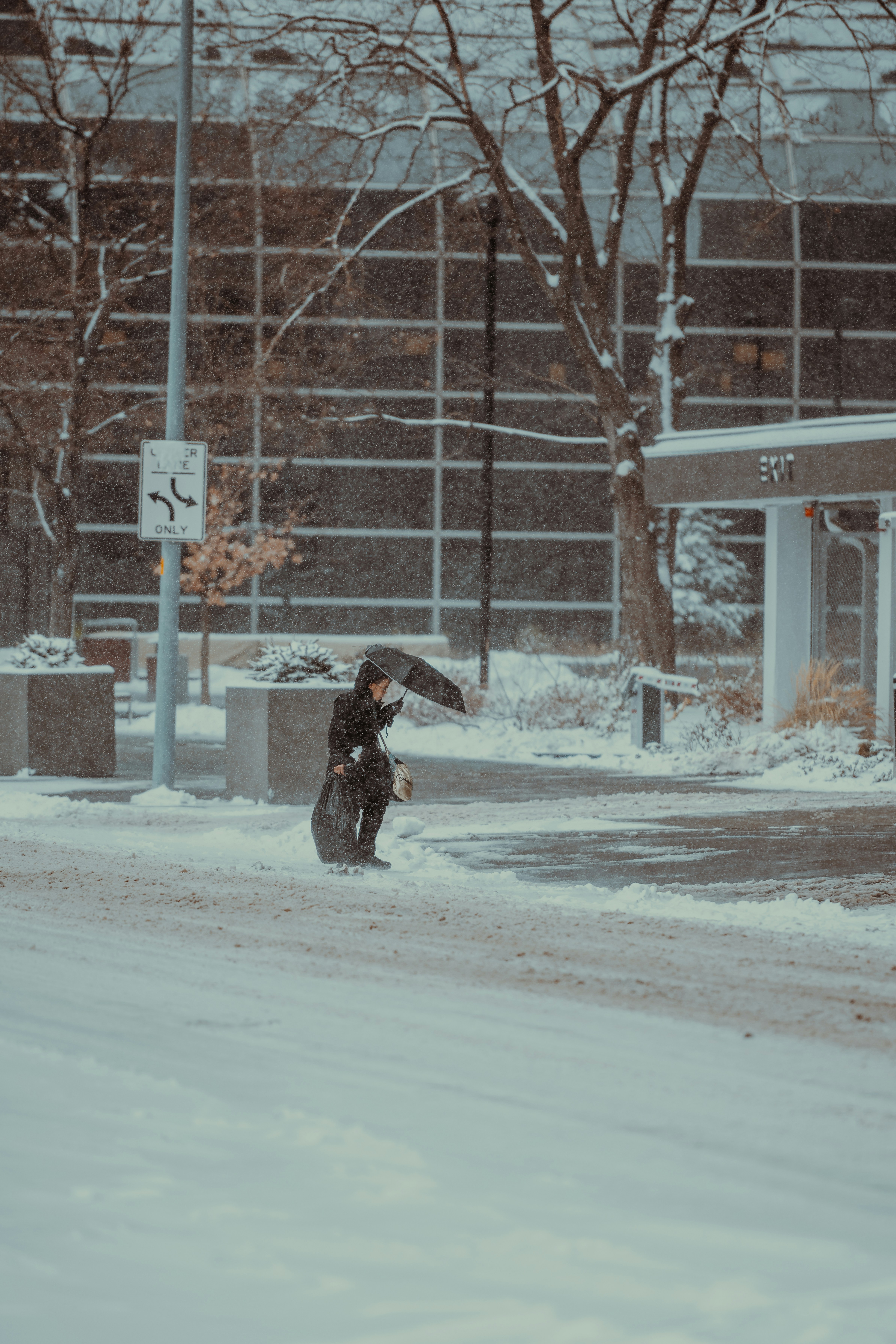 Photo by onthesearchforpineapples