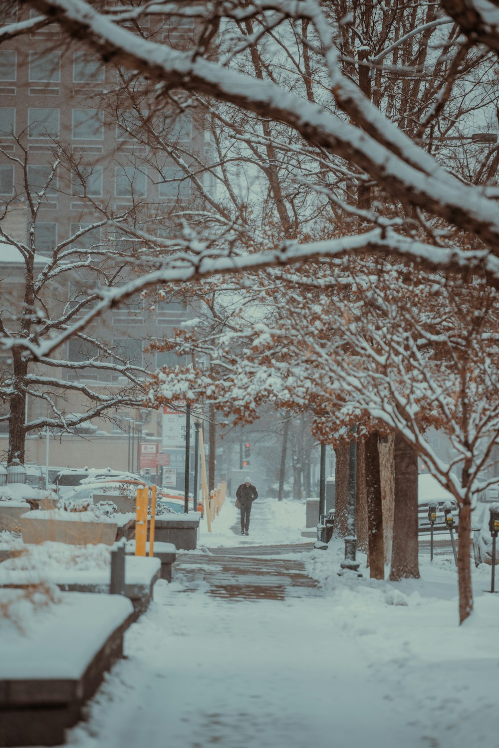 a person walking down a snow covered sidewalk