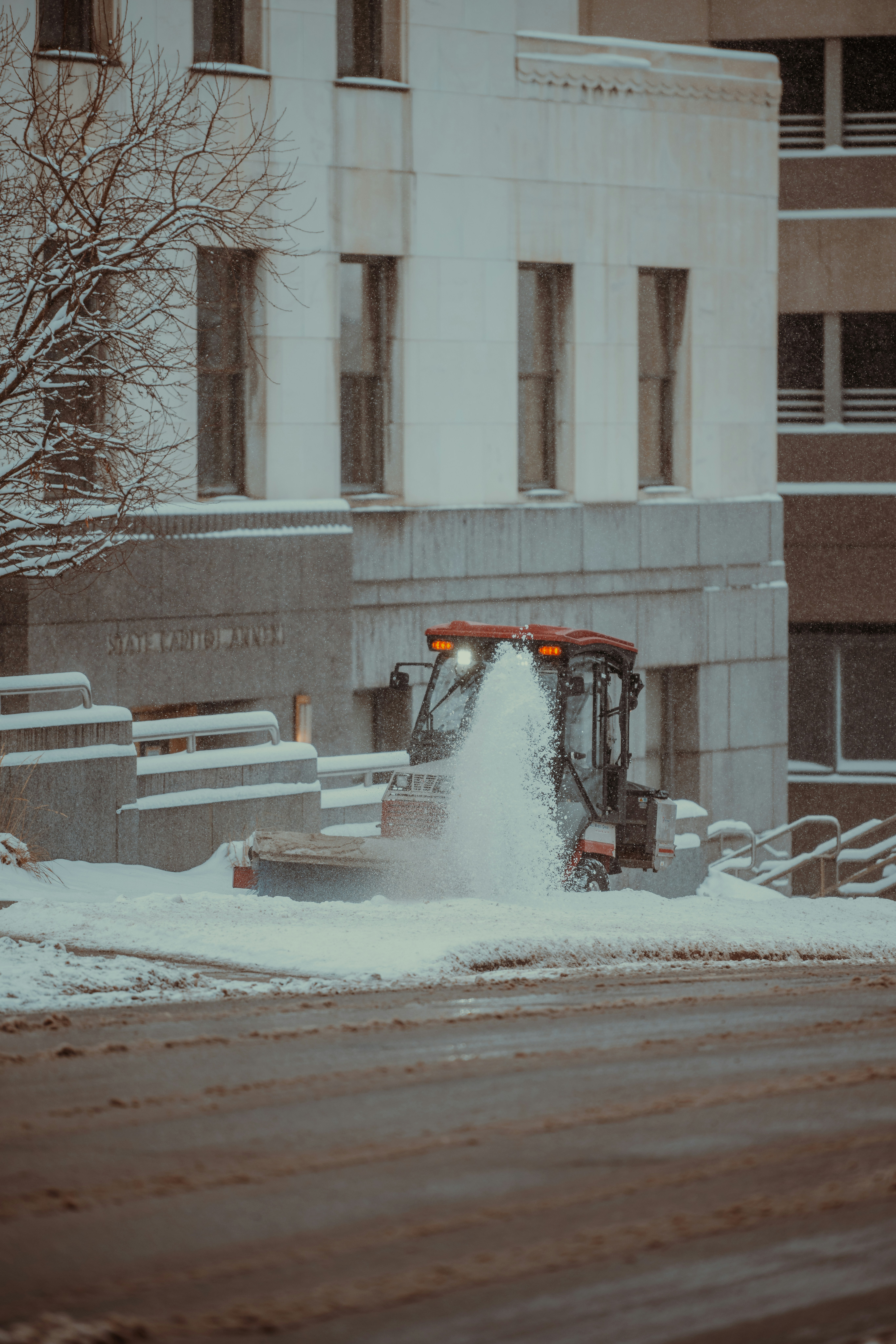 Paw-fect Protection: Why Every Denver Pet Owner Needs a Sprinkler Blow Out!