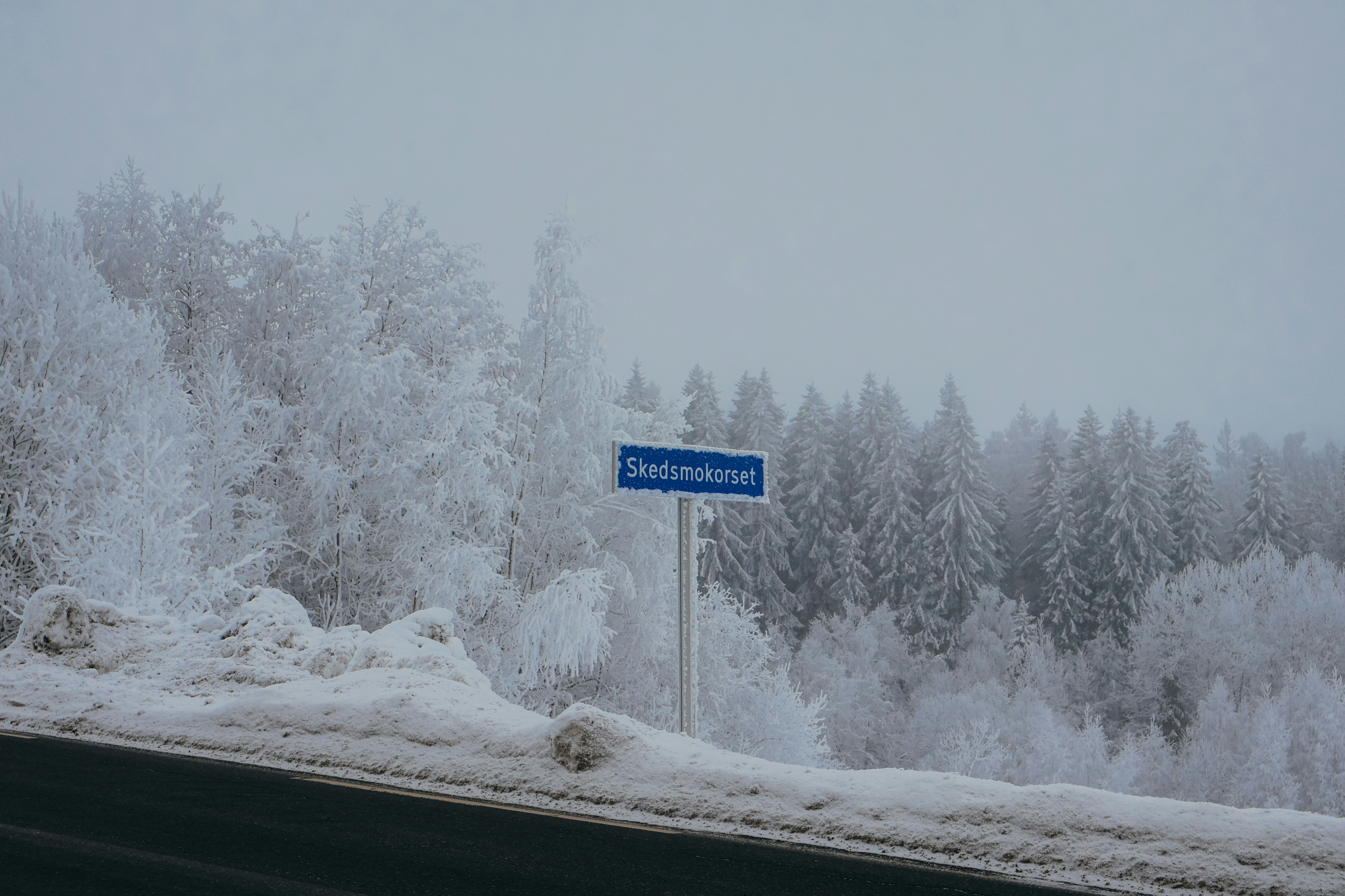 a blue street sign sitting on the side of a road