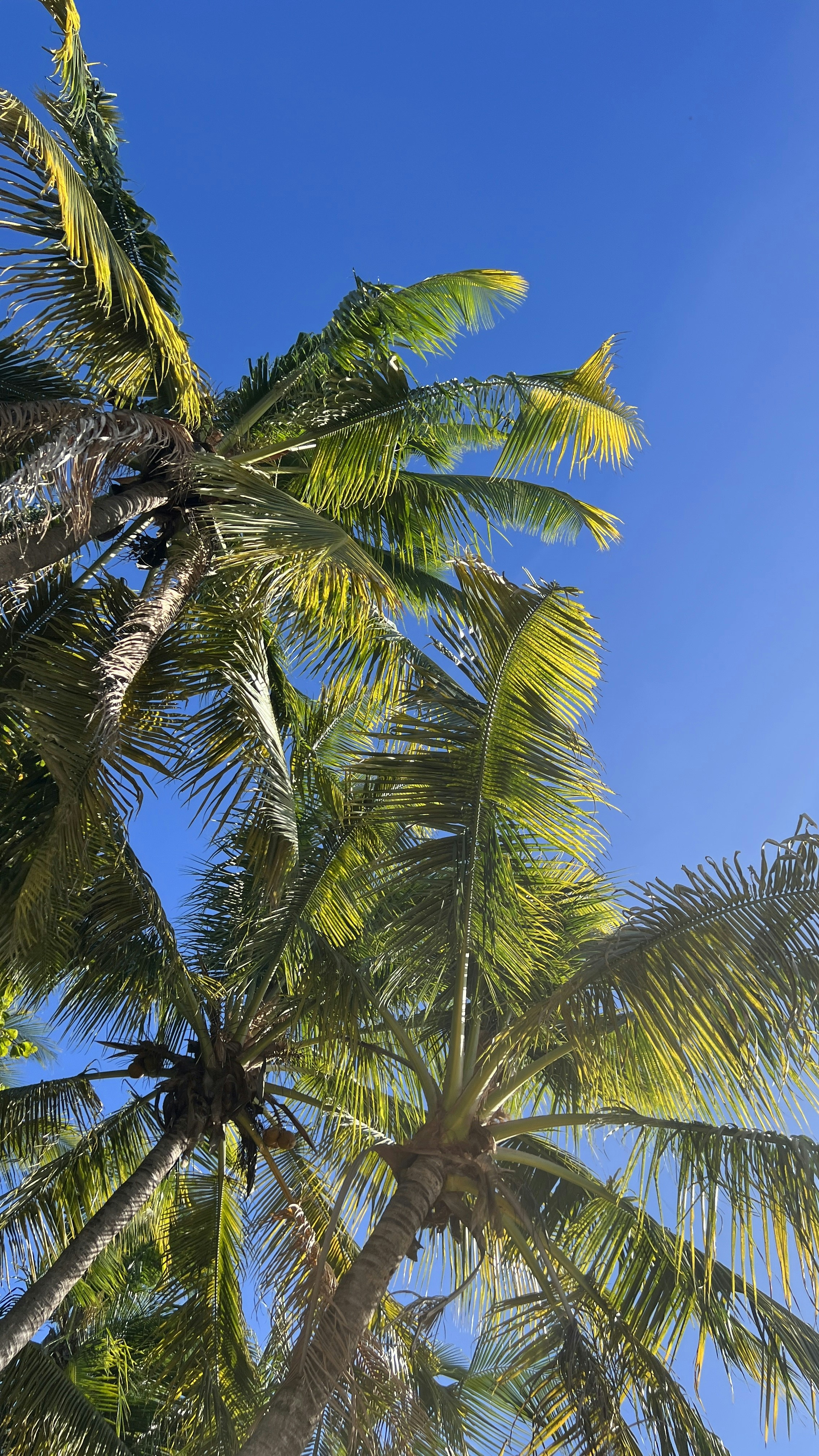 Photo by jfkkfshacvf