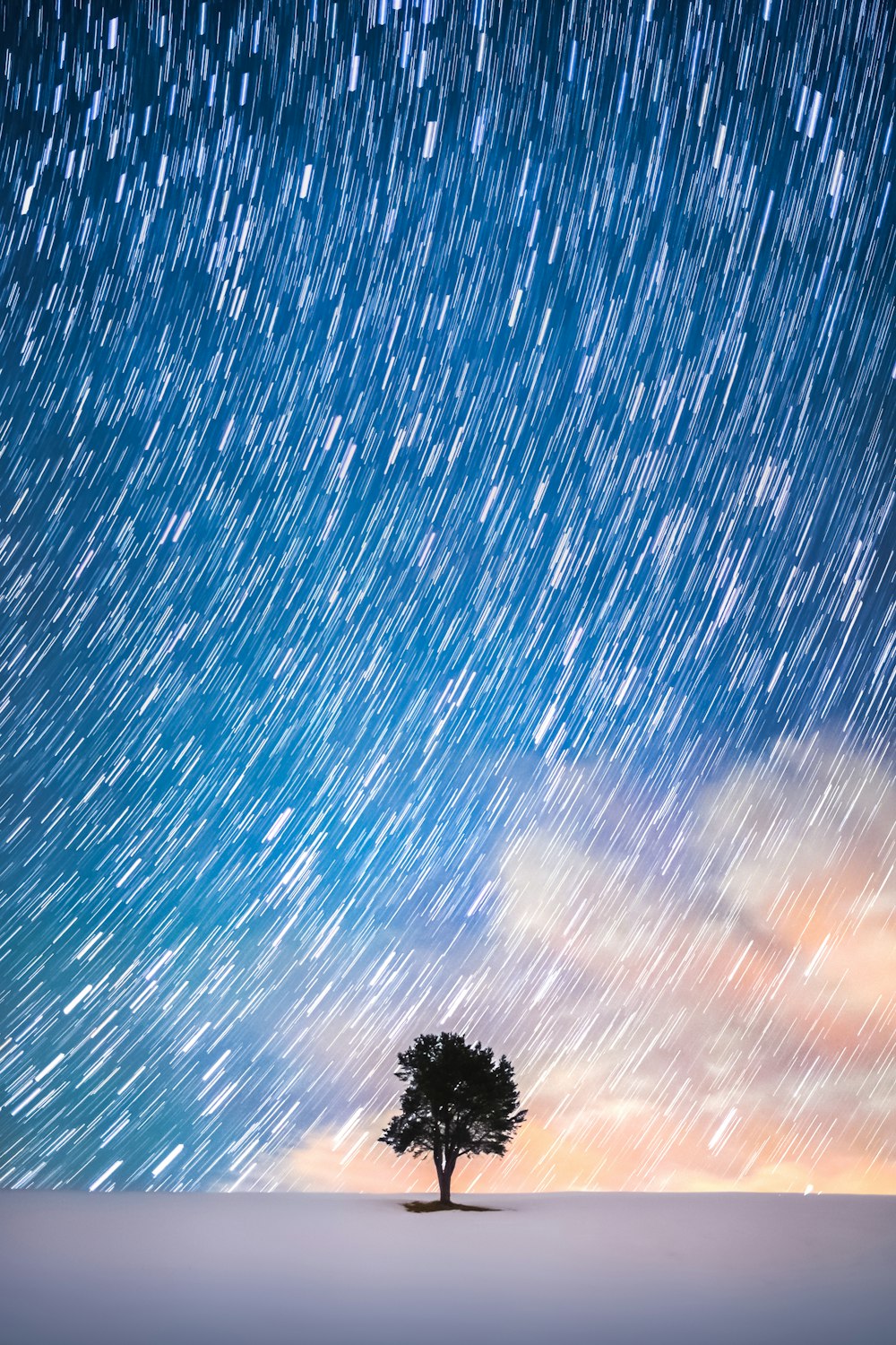 a lone tree in the middle of a field under a star filled sky