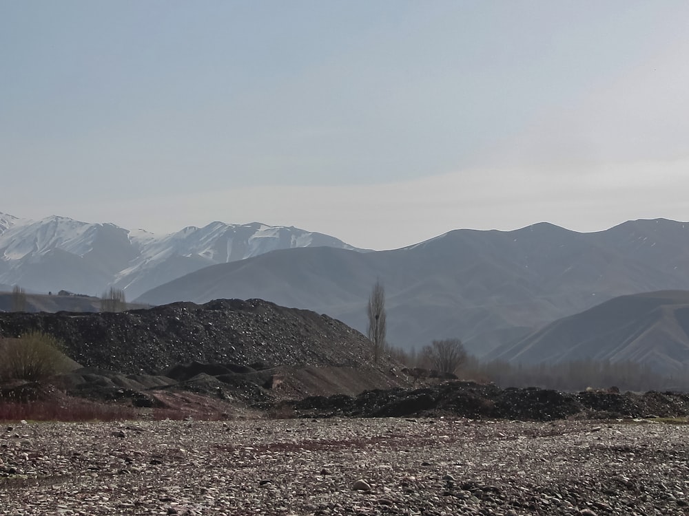 une chaîne de montagnes au loin avec quelques arbres au premier plan