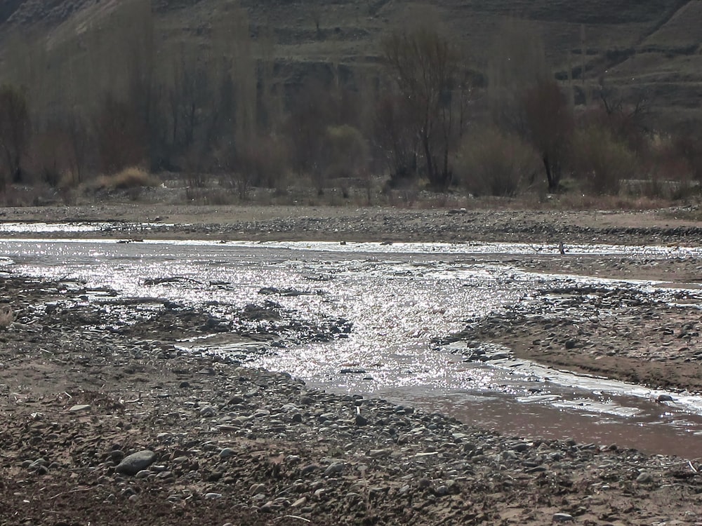 a river running through a dry grass covered field