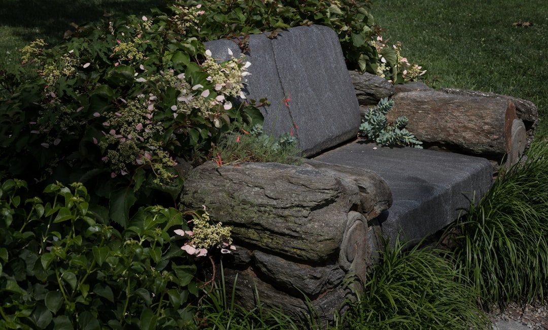 a wooden bench sitting in the middle of a lush green field,