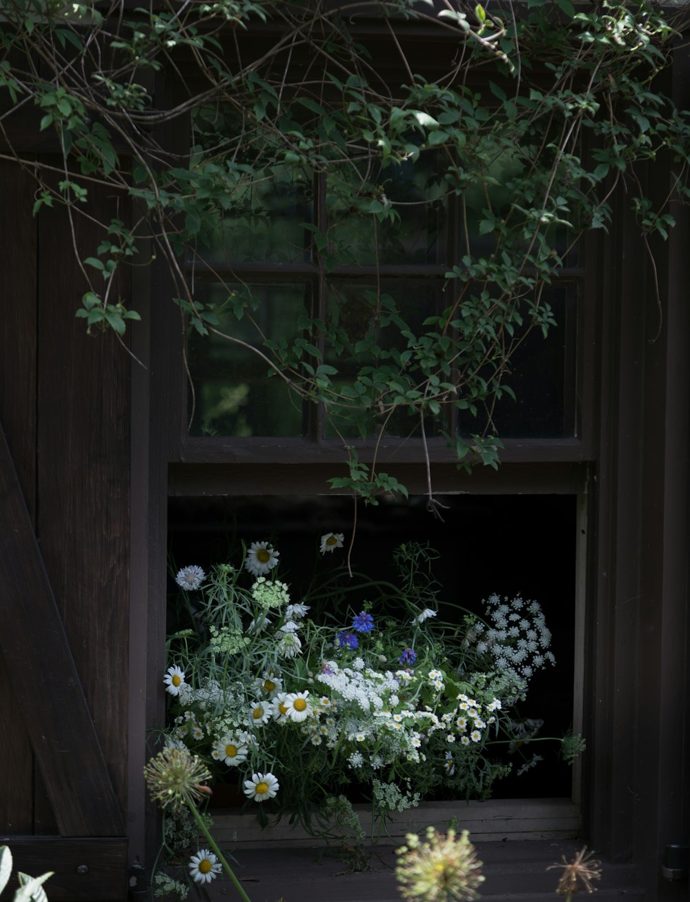 un bouquet de fleurs qui sont dans une fenêtre