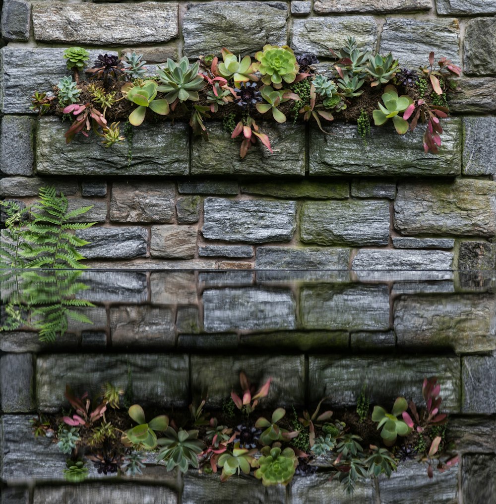 una pared de ladrillo con plantas que crecen en ella
