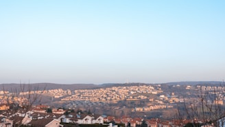 A scenic view of a sprawling residential area nestled among rolling hills. The landscape is dotted with numerous houses with red-tiled roofs, extending towards the horizon. Bare trees in the foreground suggest a winter or early spring setting. The sky is a clear blue, providing a serene backdrop.