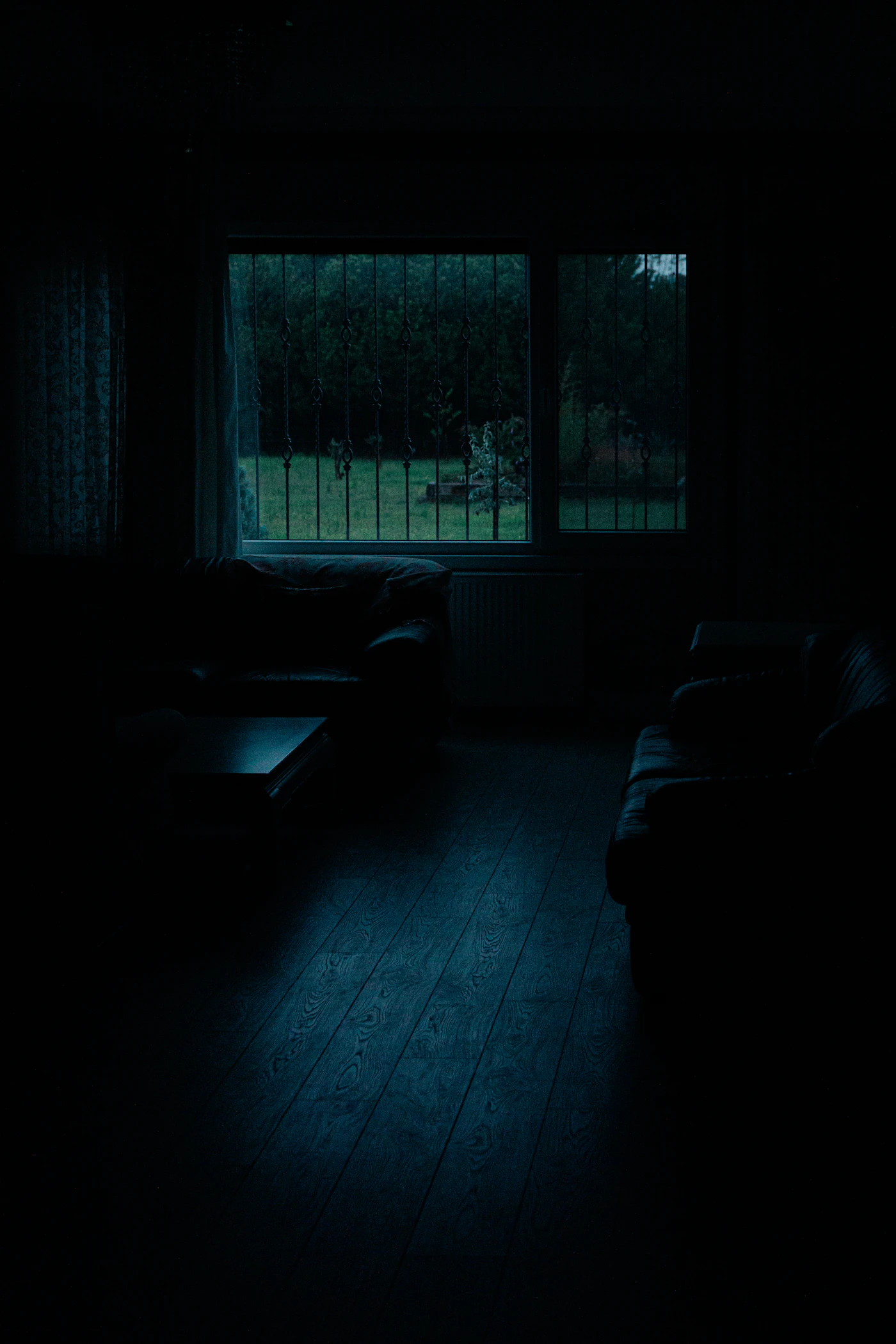 House Among Trees — dark study with a wide window onto trees (placeholder photograph)