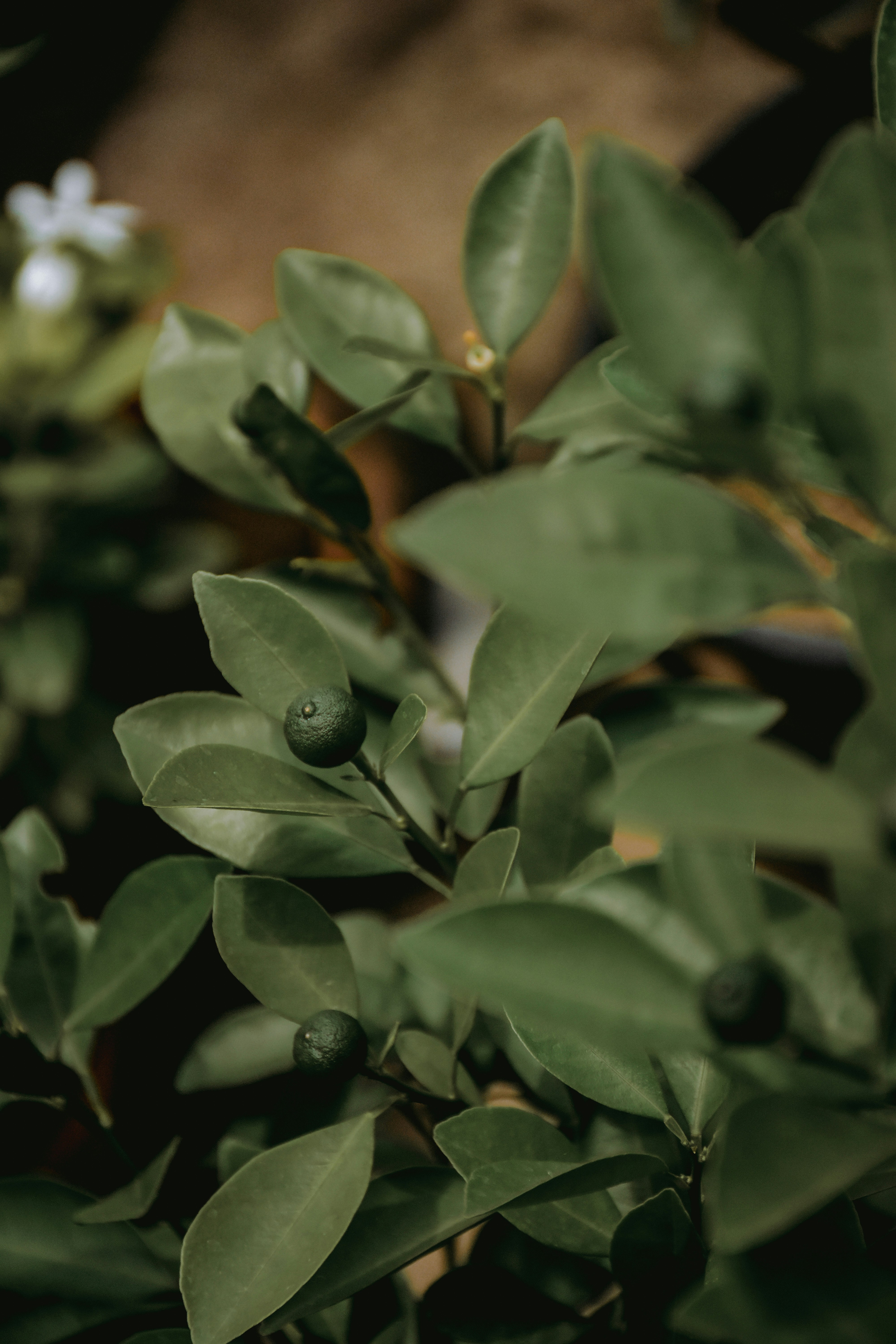 Photo by ankita_clicks