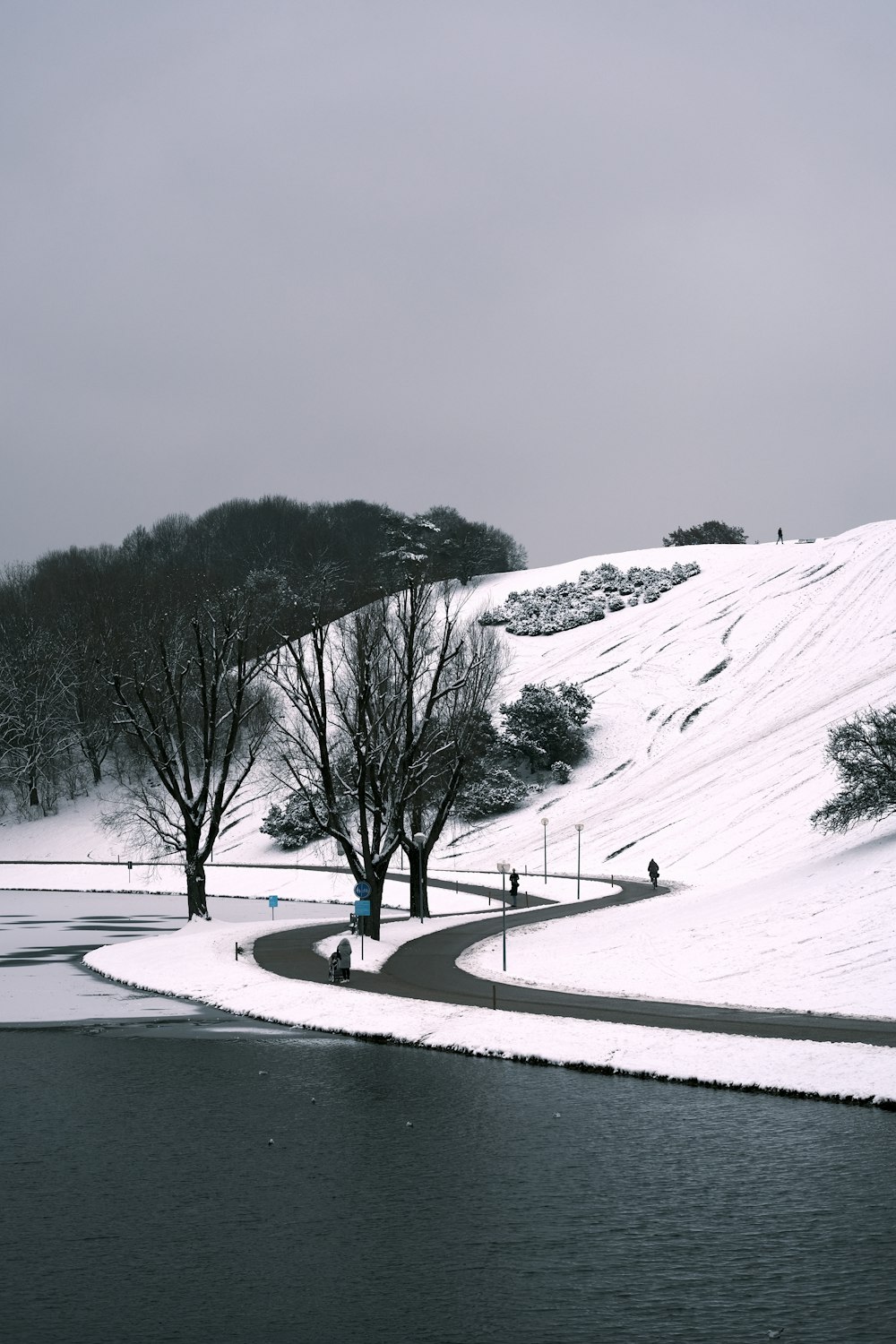 a couple of trees that are standing in the snow