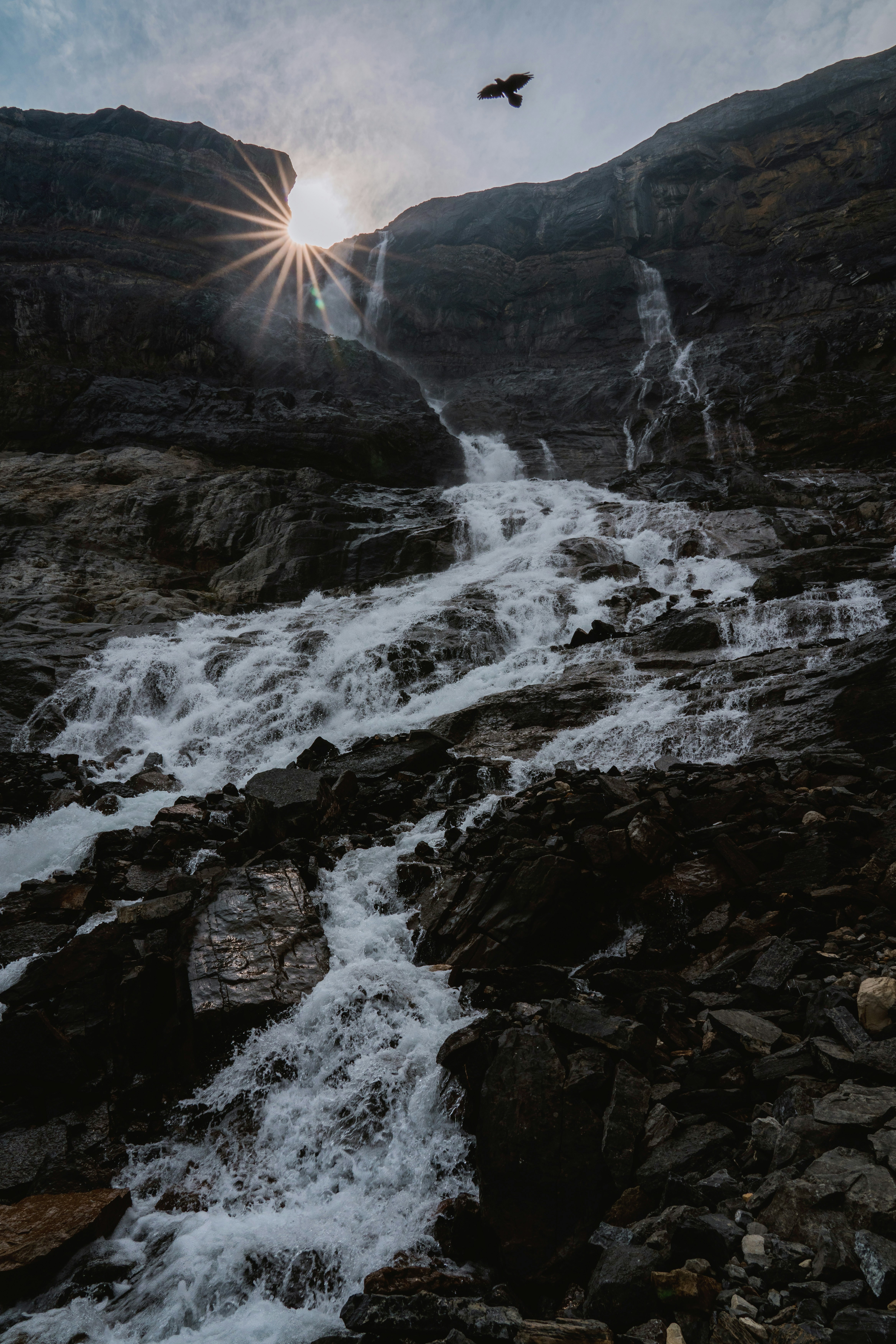 Photo by danny_jongerius