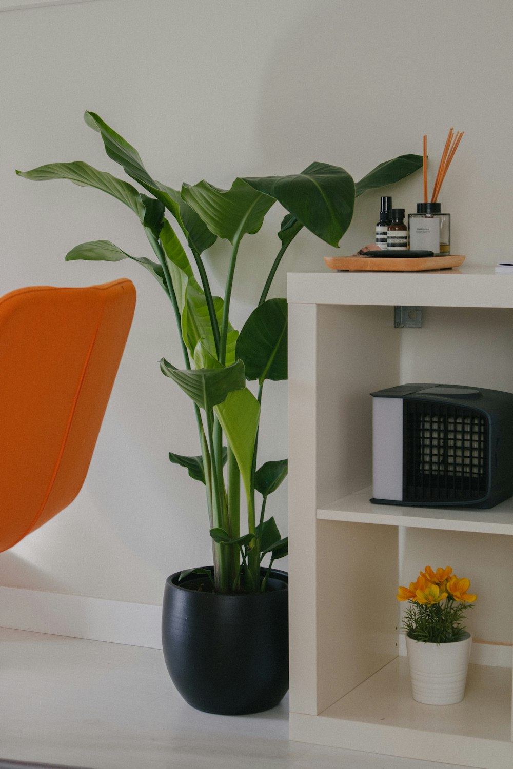 a room with a chair and a potted plant