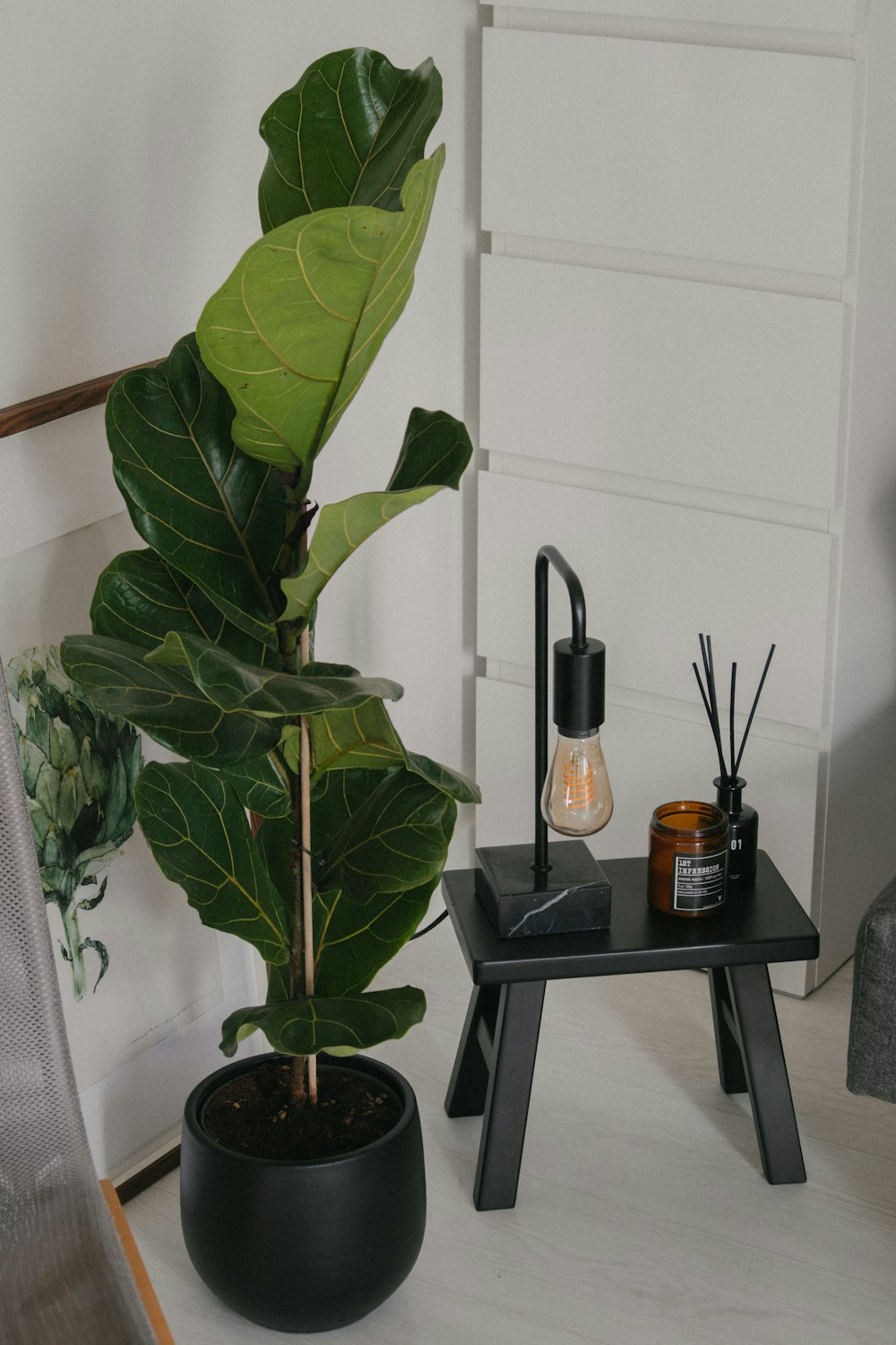 a potted plant sitting on top of a table