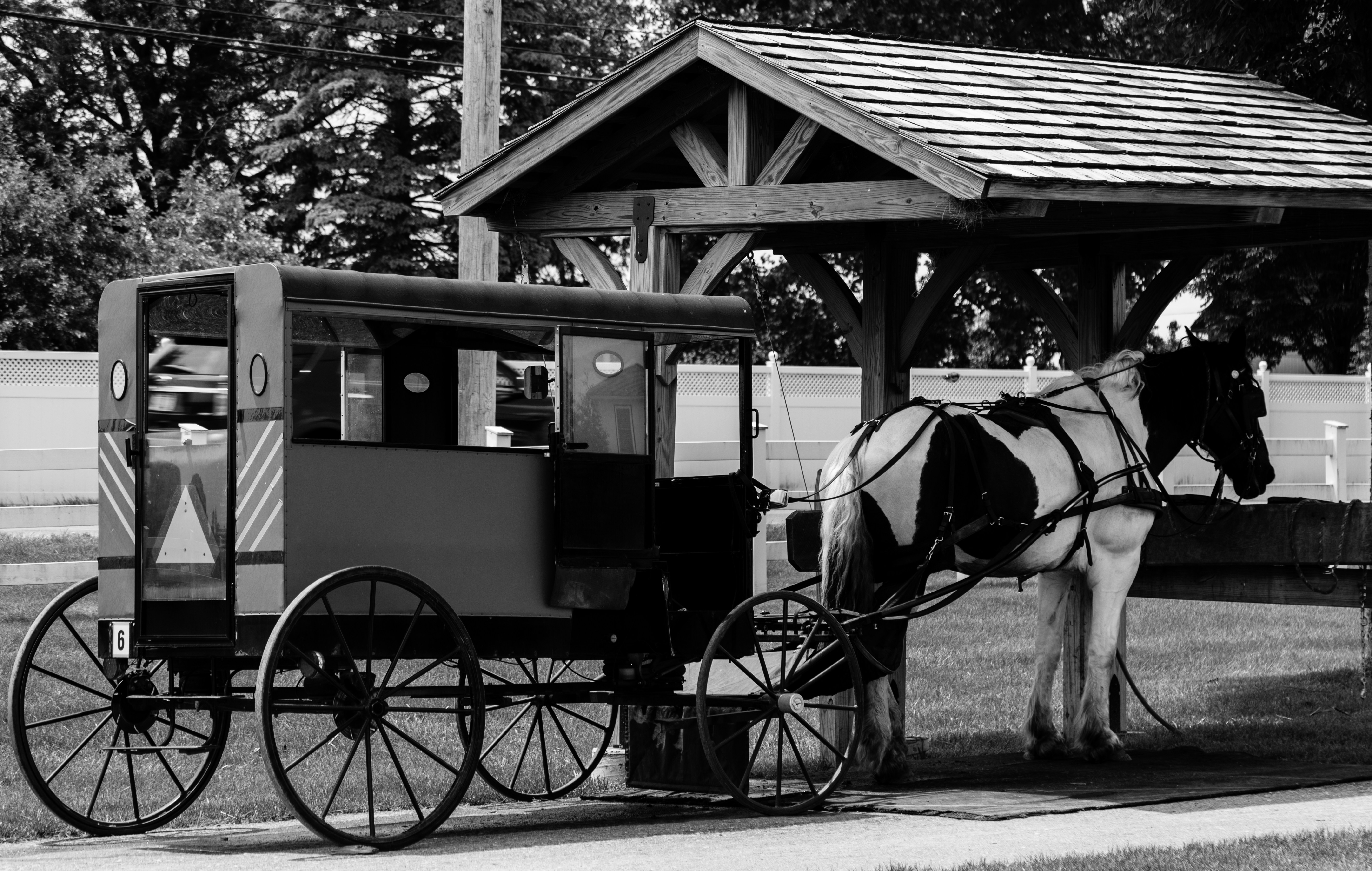 Street Photography theme