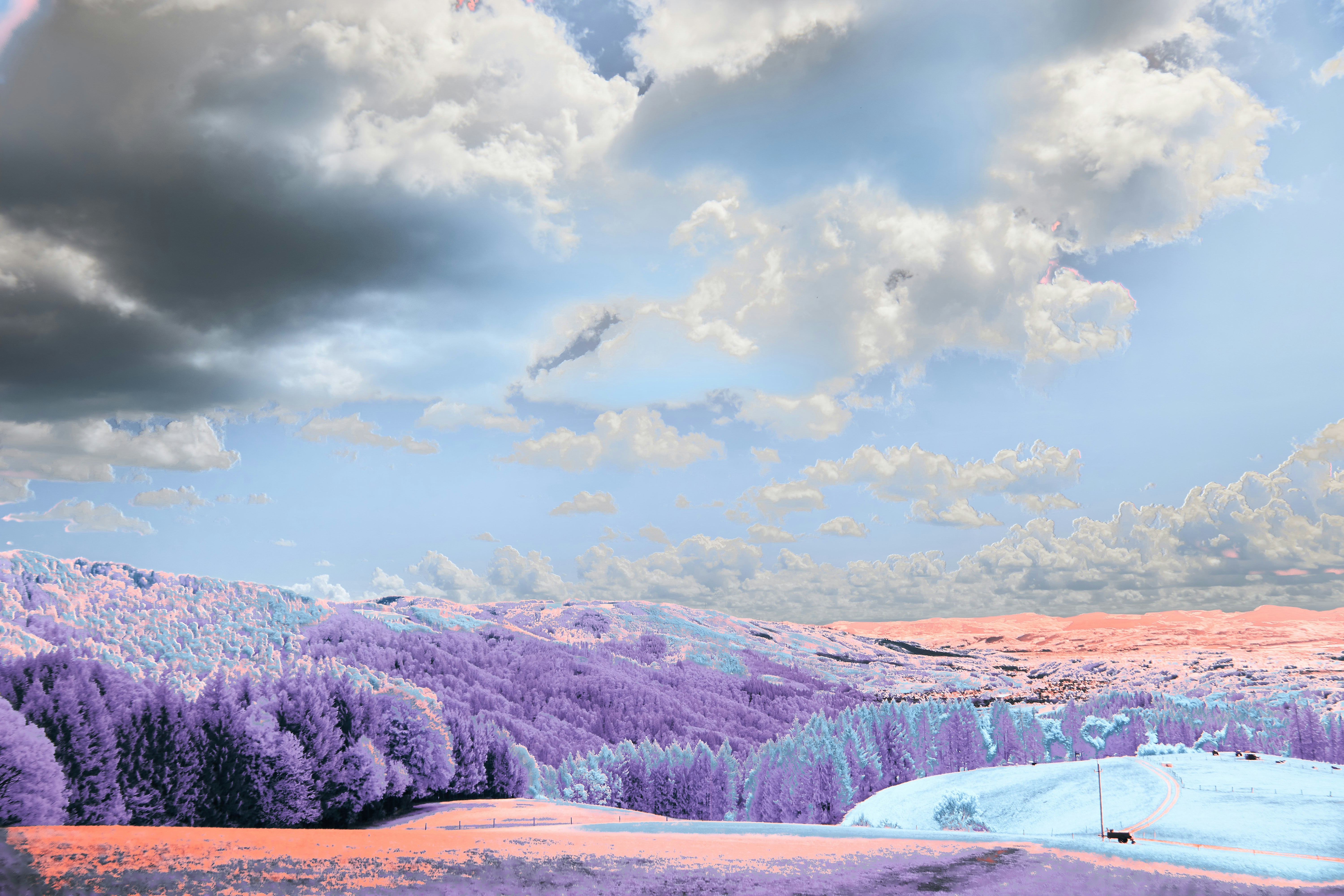 Photo by wolfgang_hasselmann