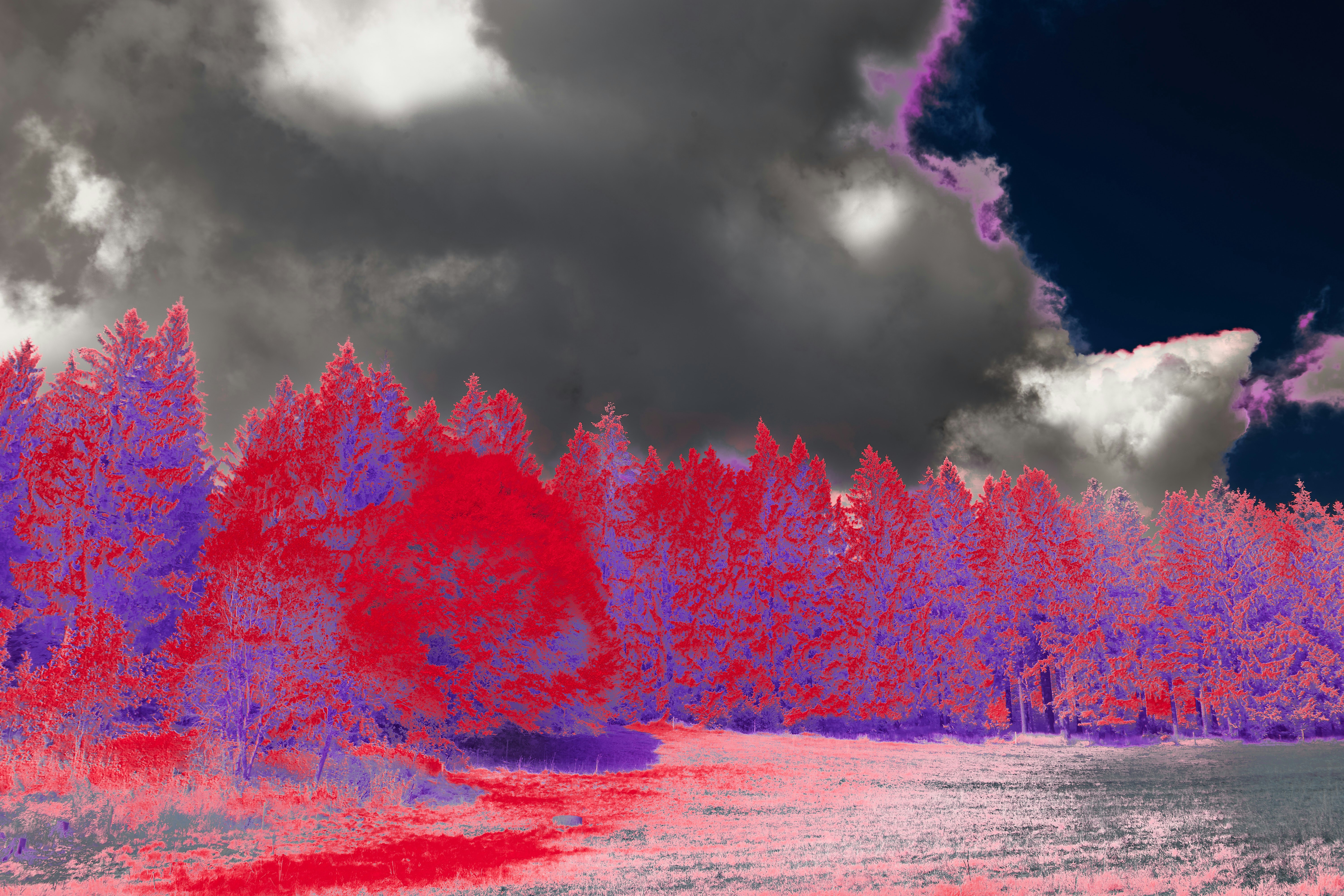 Photo by wolfgang_hasselmann