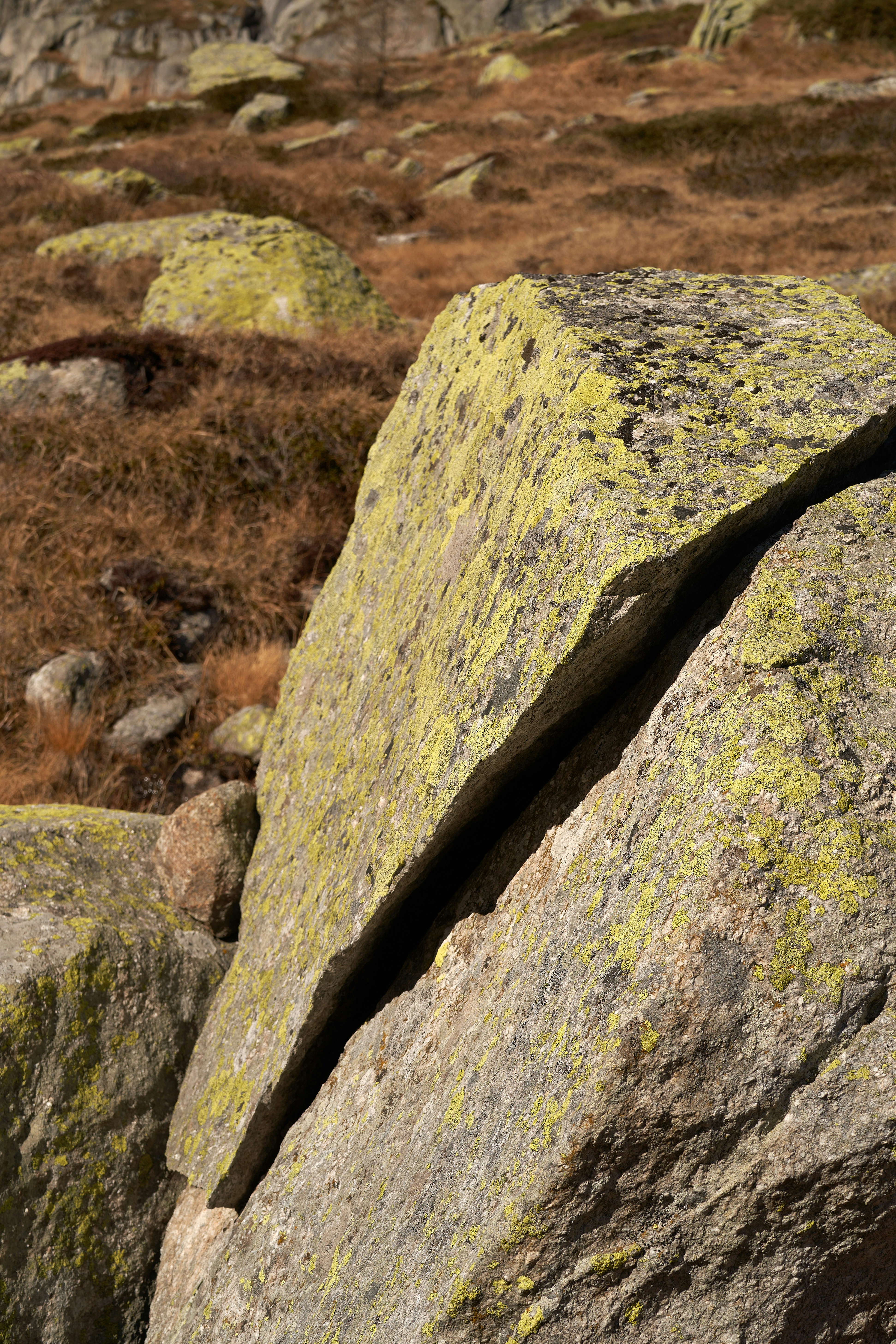 Photo by wolfgang_hasselmann