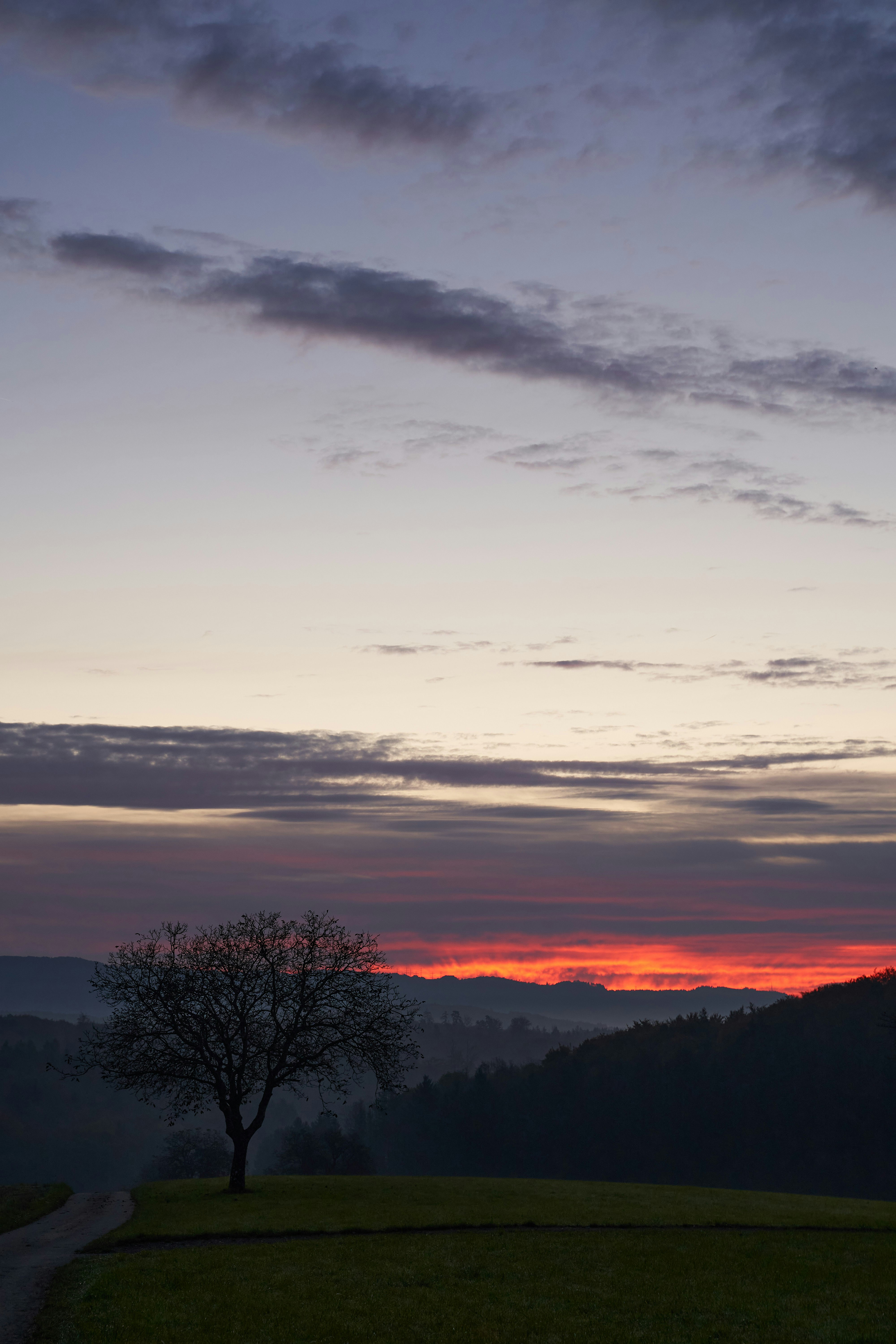 Photo by wolfgang_hasselmann