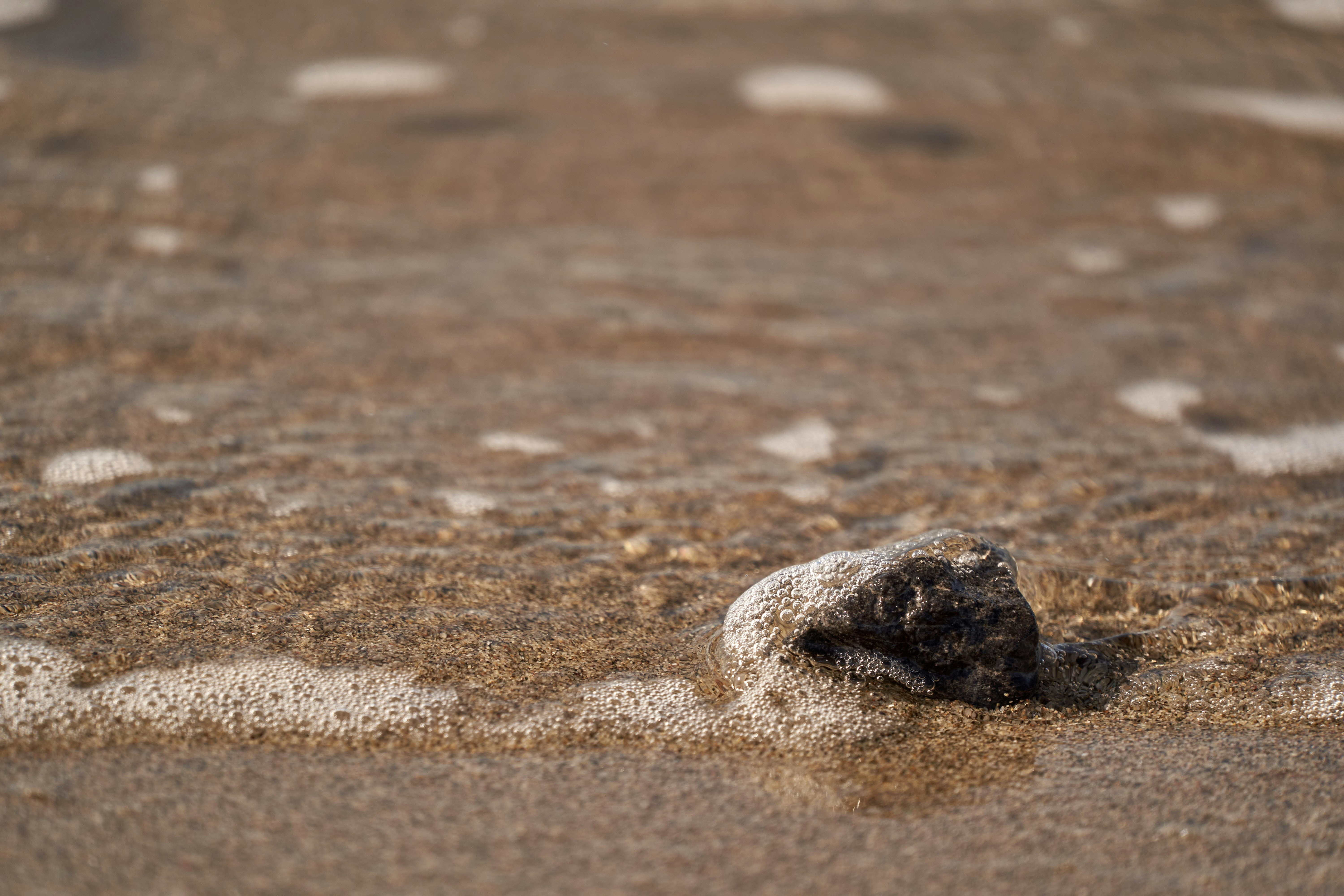 Photo by wolfgang_hasselmann