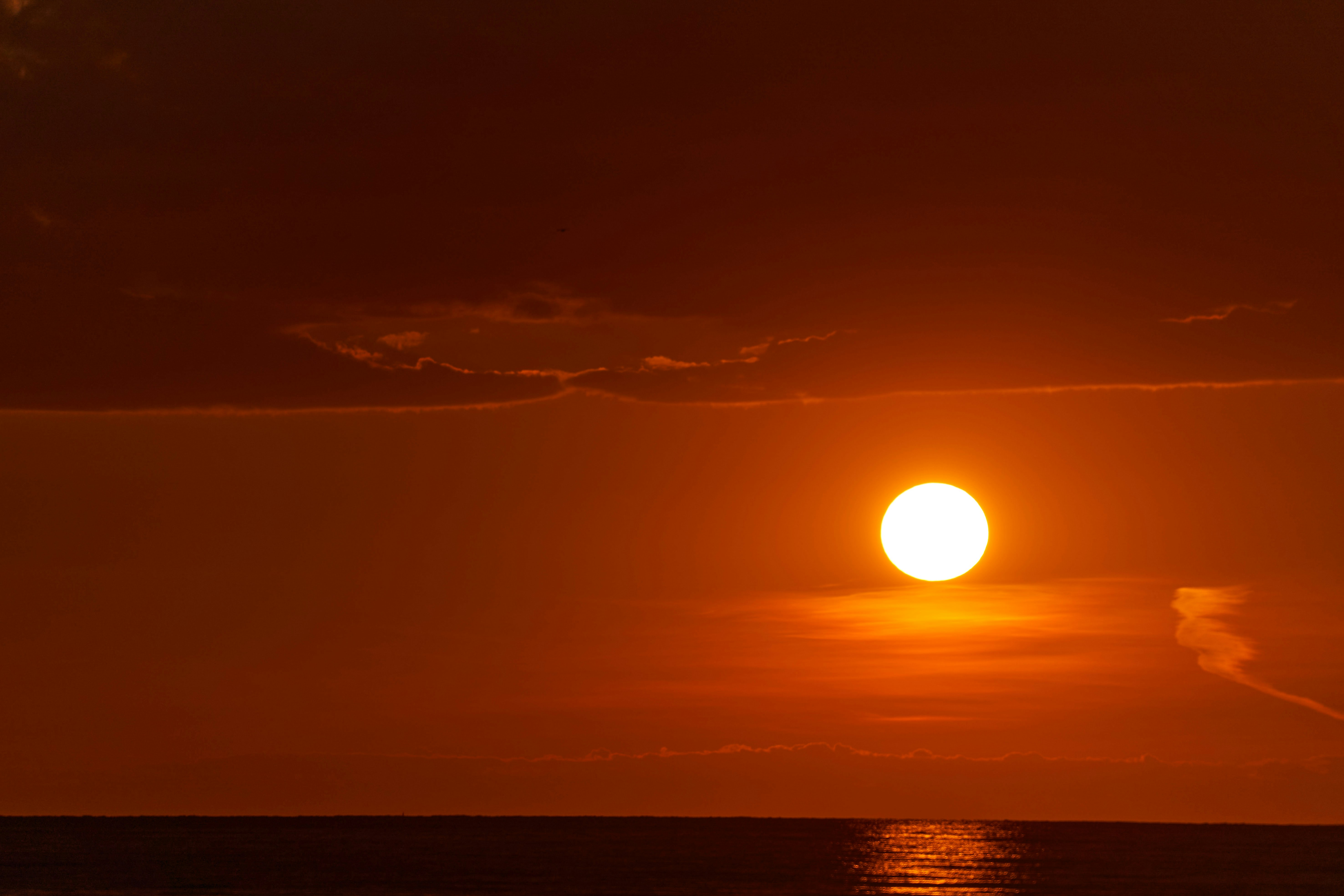 Photo by wolfgang_hasselmann