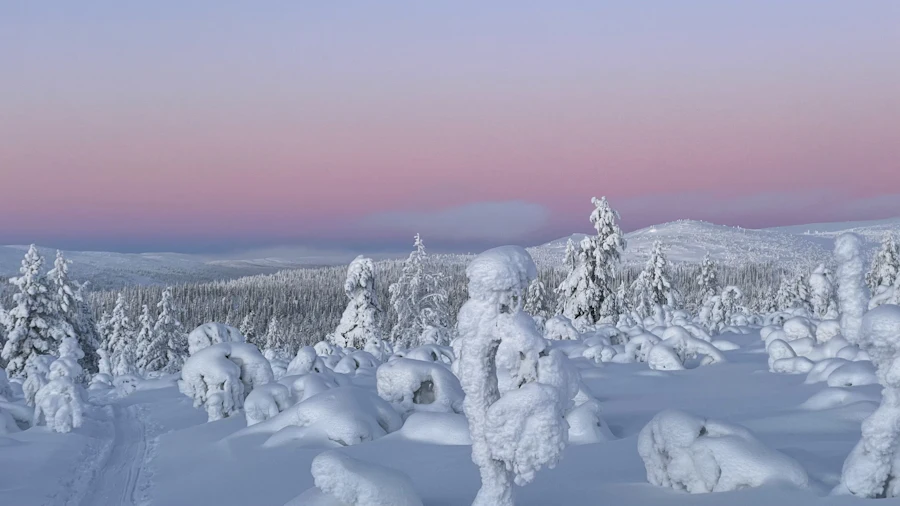 Skiing in Finland