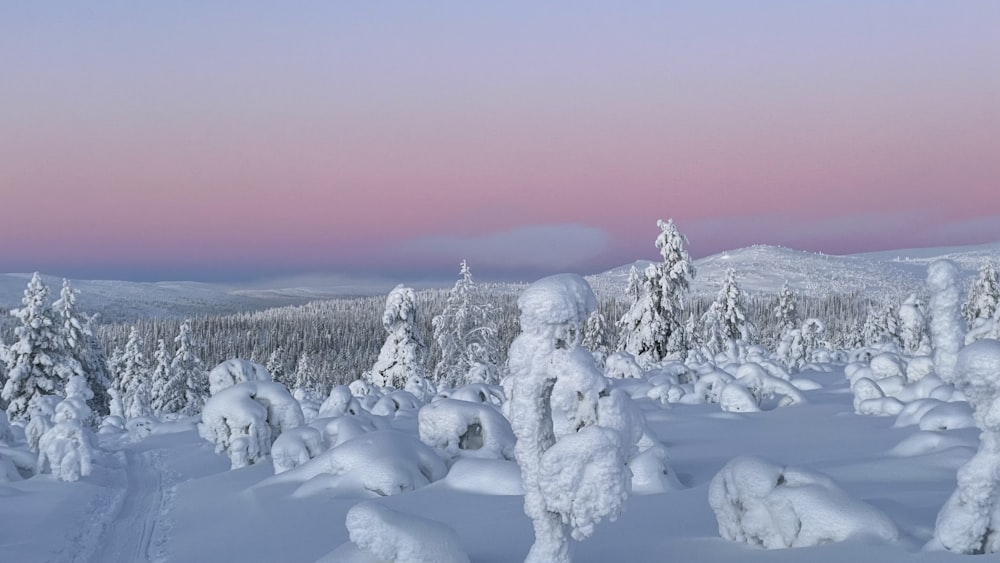 a snow covered forest with a pink sky in the background