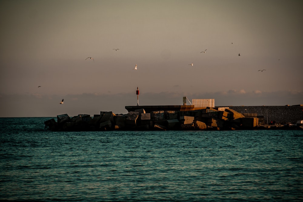 a group of birds flying over a body of water