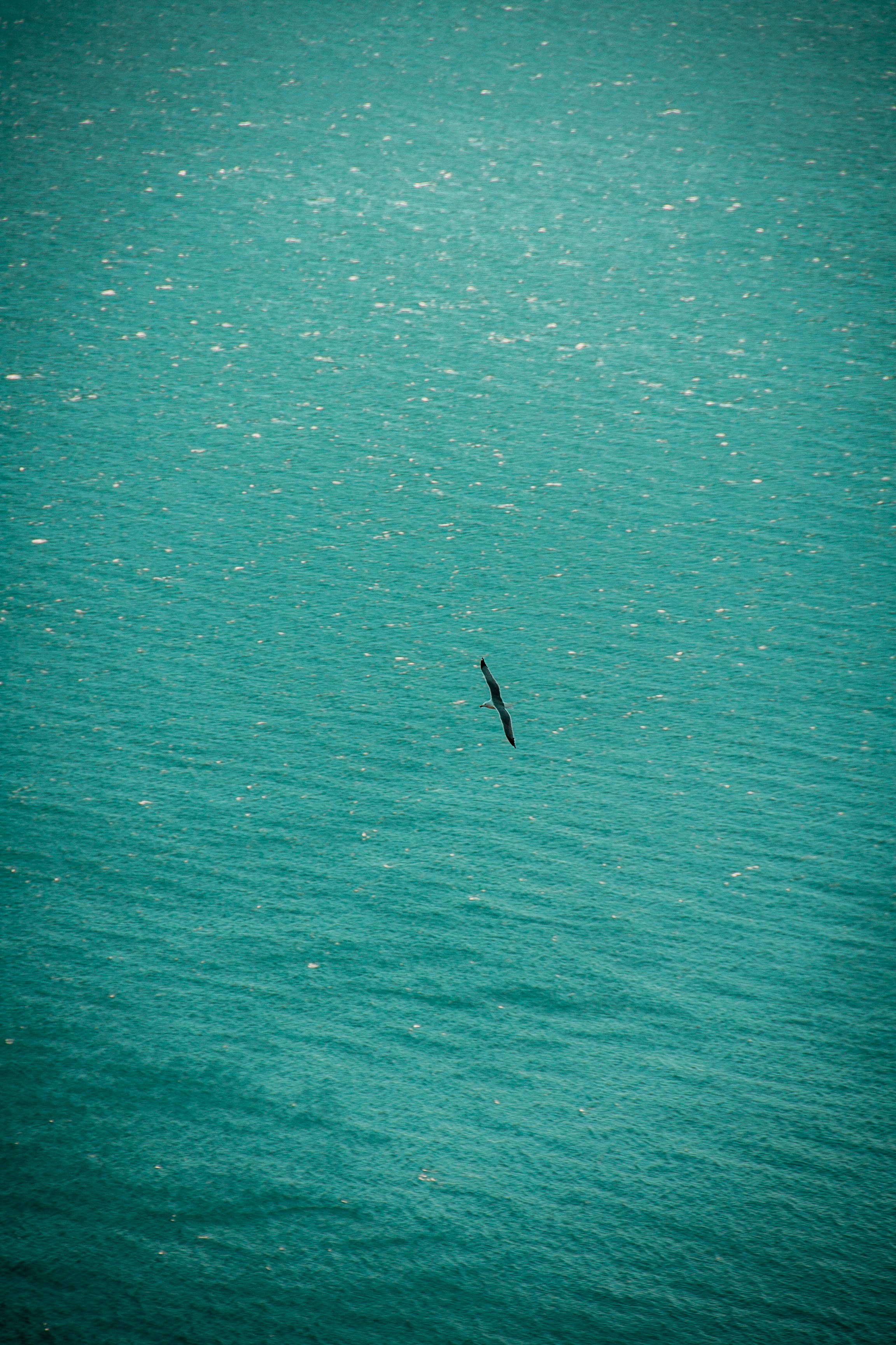 Photo by addekalk
