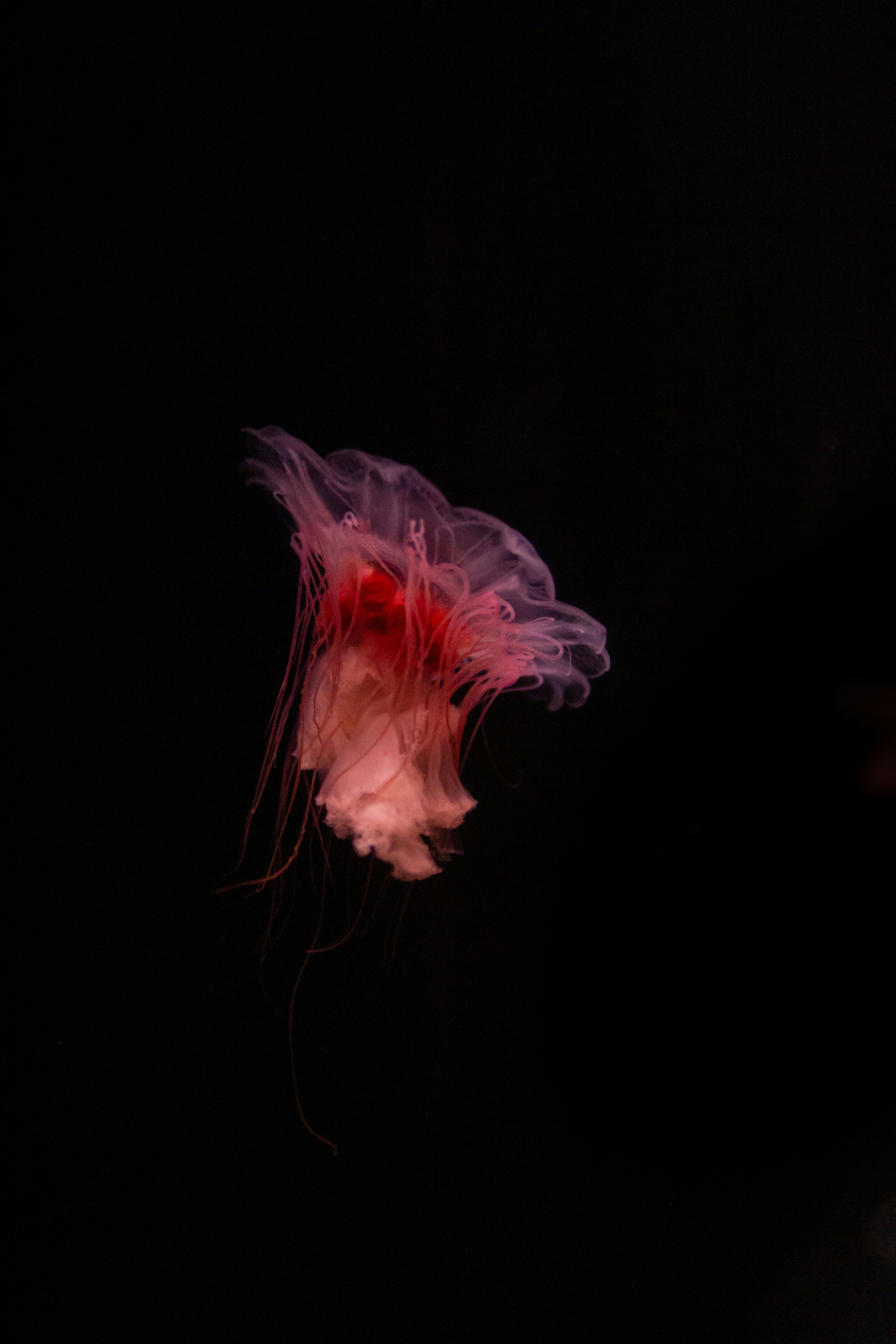 Photo by sam_badmaeva