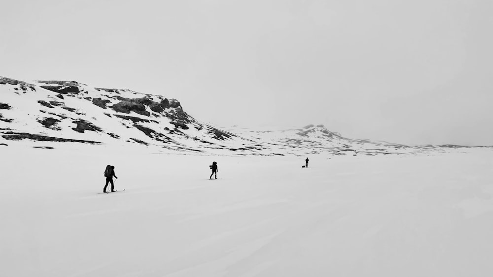 a group of people riding skis across a snow covered slope