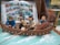 A group of animated characters is depicted in a small boat surrounded by water with foam effects. They appear to be involved in a nautical adventure, with some characters holding oars. The backdrop includes an open comic book with scenes and dialogues related to the adventure.