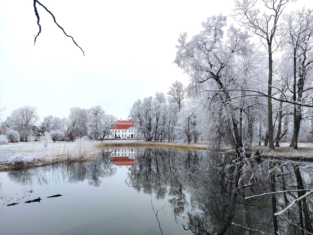 a lake surrounded by trees covered in snow