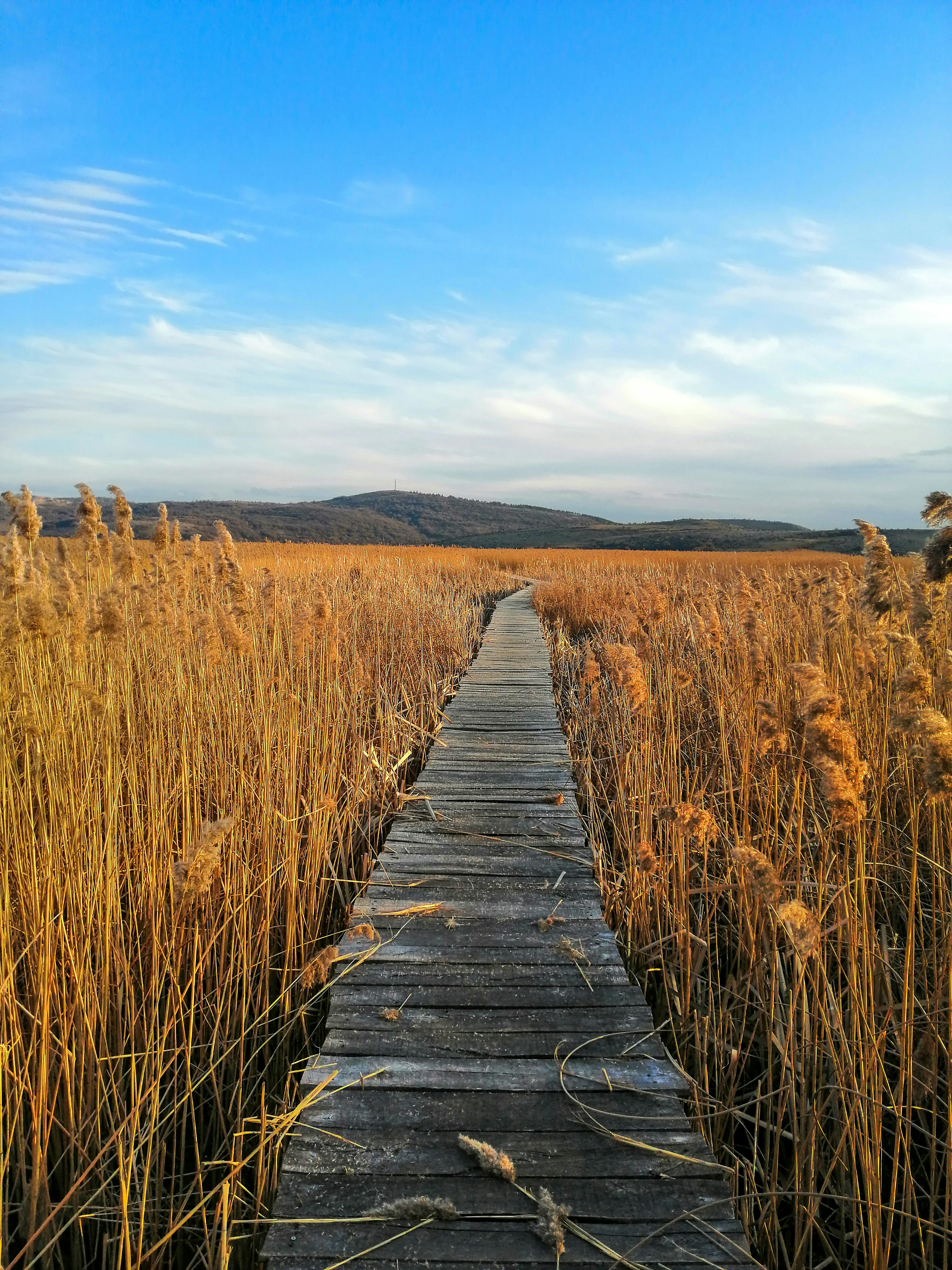 Photo by yoanaboyadjieva
