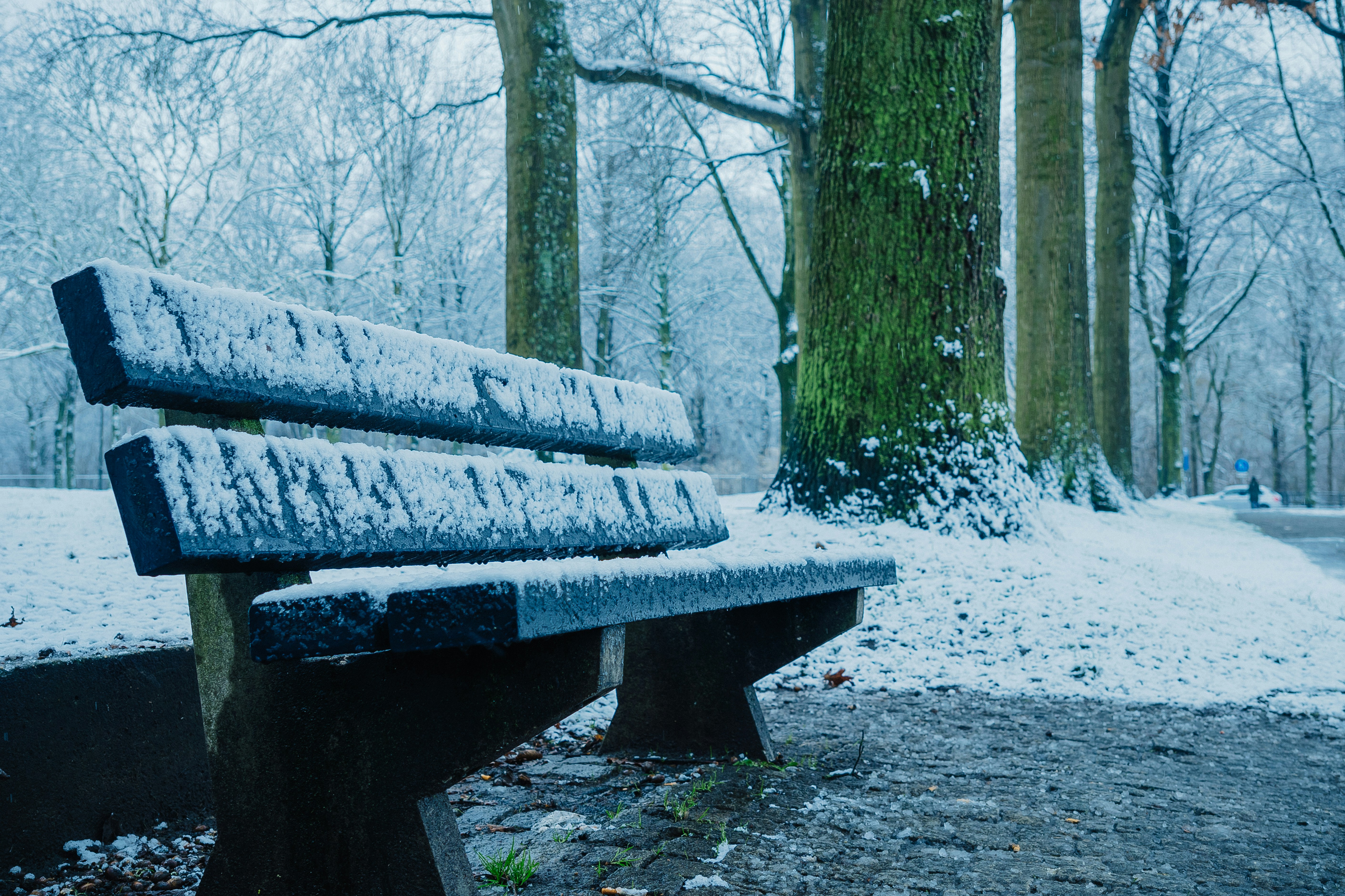 Afbeelding van Eindhoven