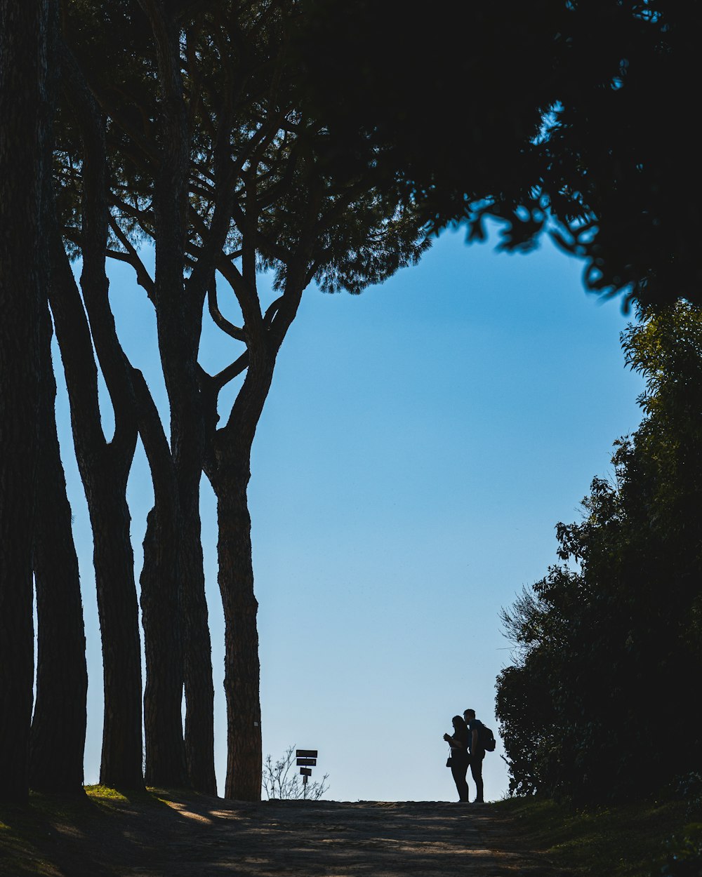 a couple of people walking down a dirt road