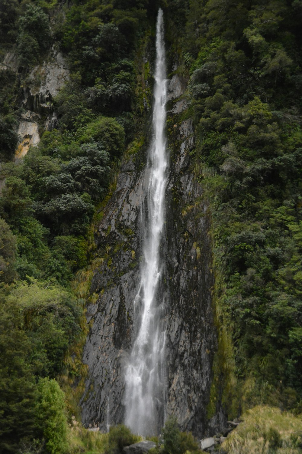 a waterfall in the middle of a forest