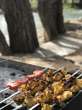 Skewers of grilled meat, likely chicken, and slices of tomato are cooking over charcoal on a barbecue grill. The grill is set outdoors, with blurred trees and a river or stream in the background, giving it a natural setting.