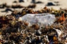 a plastic bottle sitting on top of a patch of grass