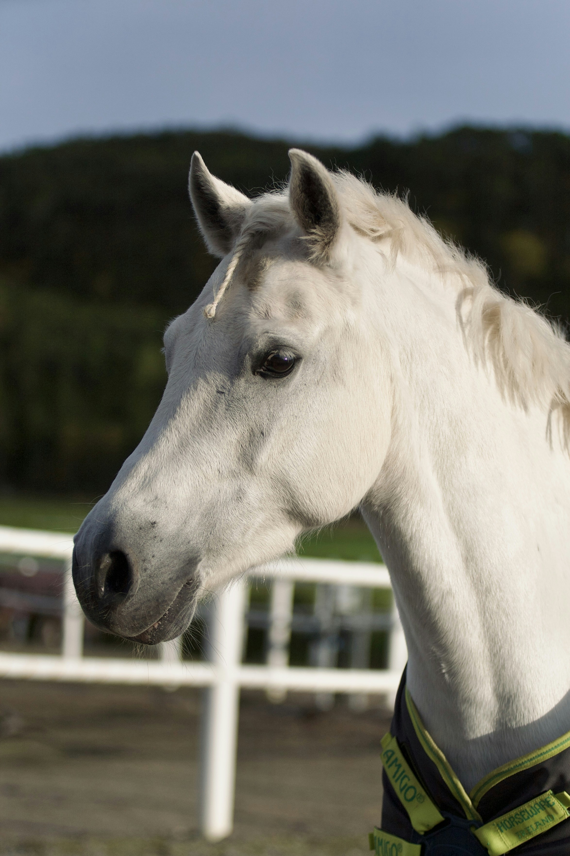 Photo by kristinokarlsen