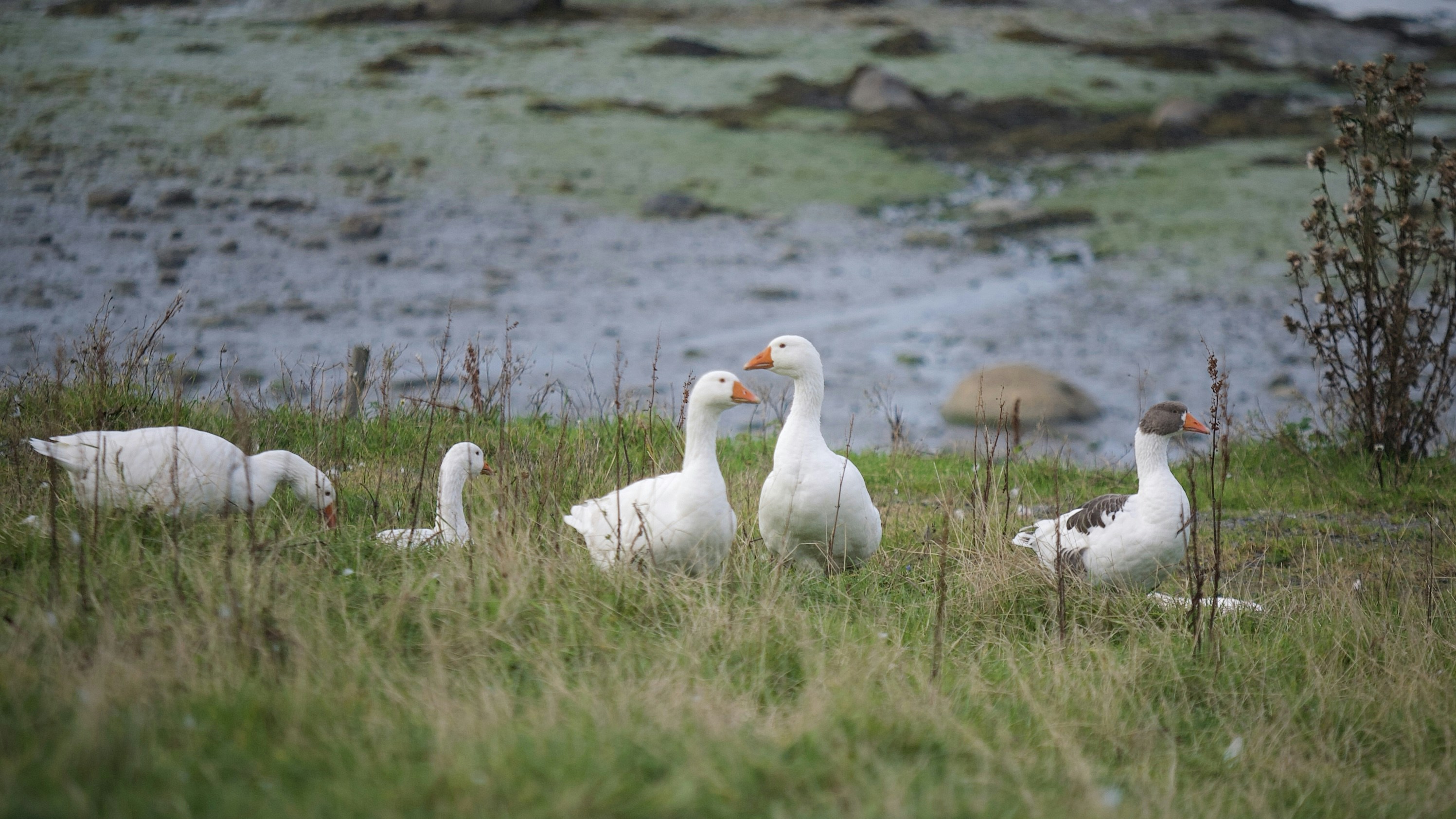 Photo by kristinokarlsen