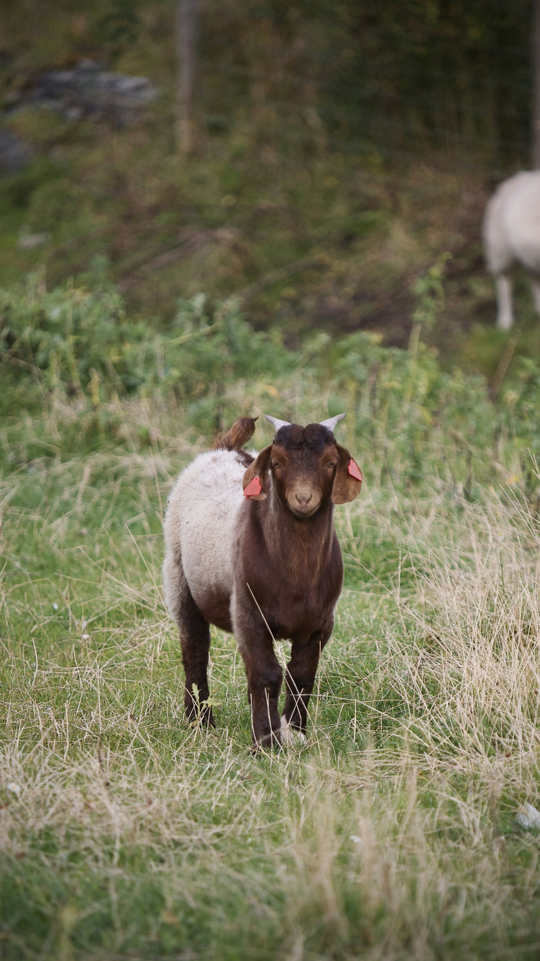 Photo by kristinokarlsen