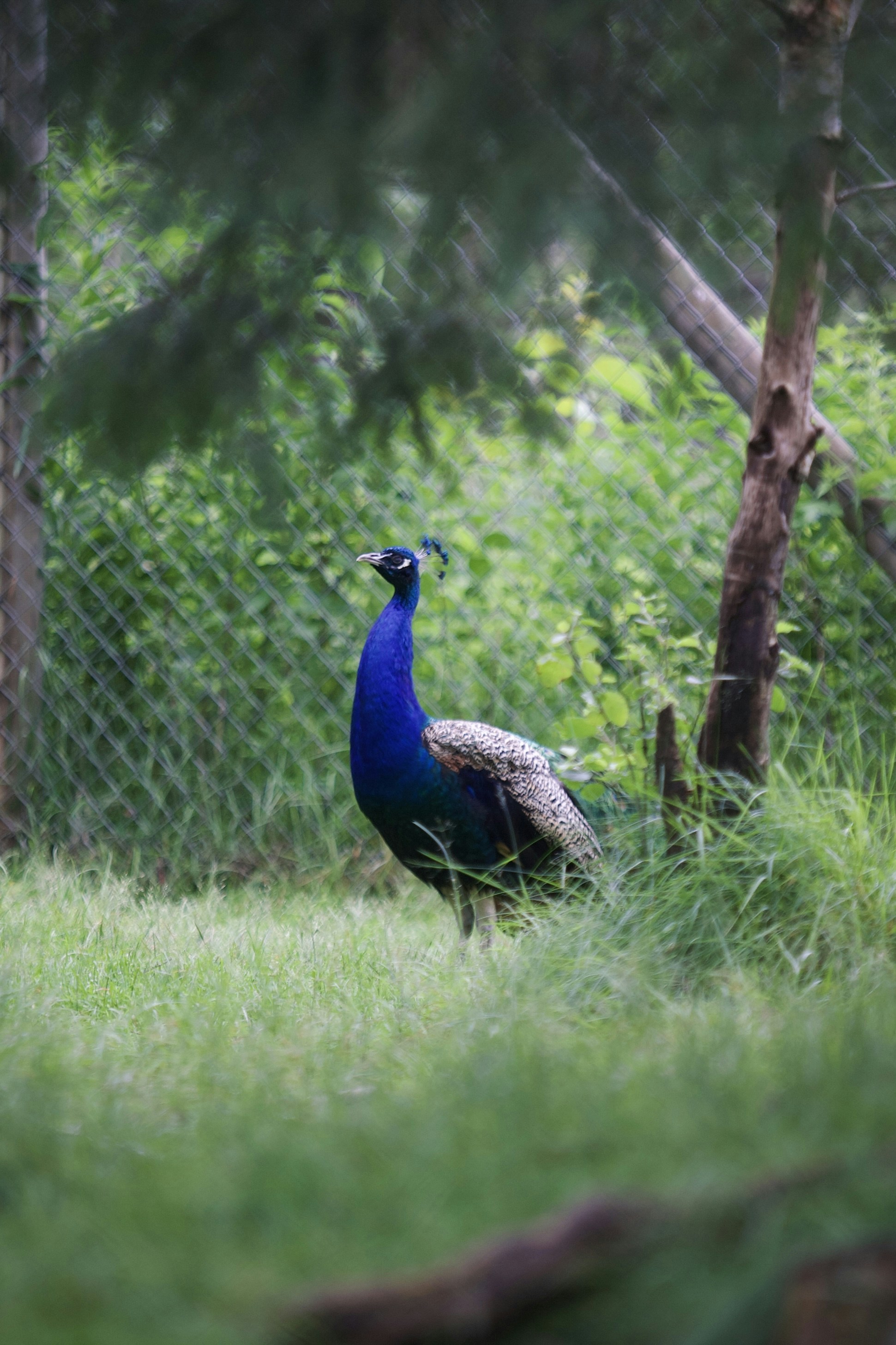 Photo by kristinokarlsen