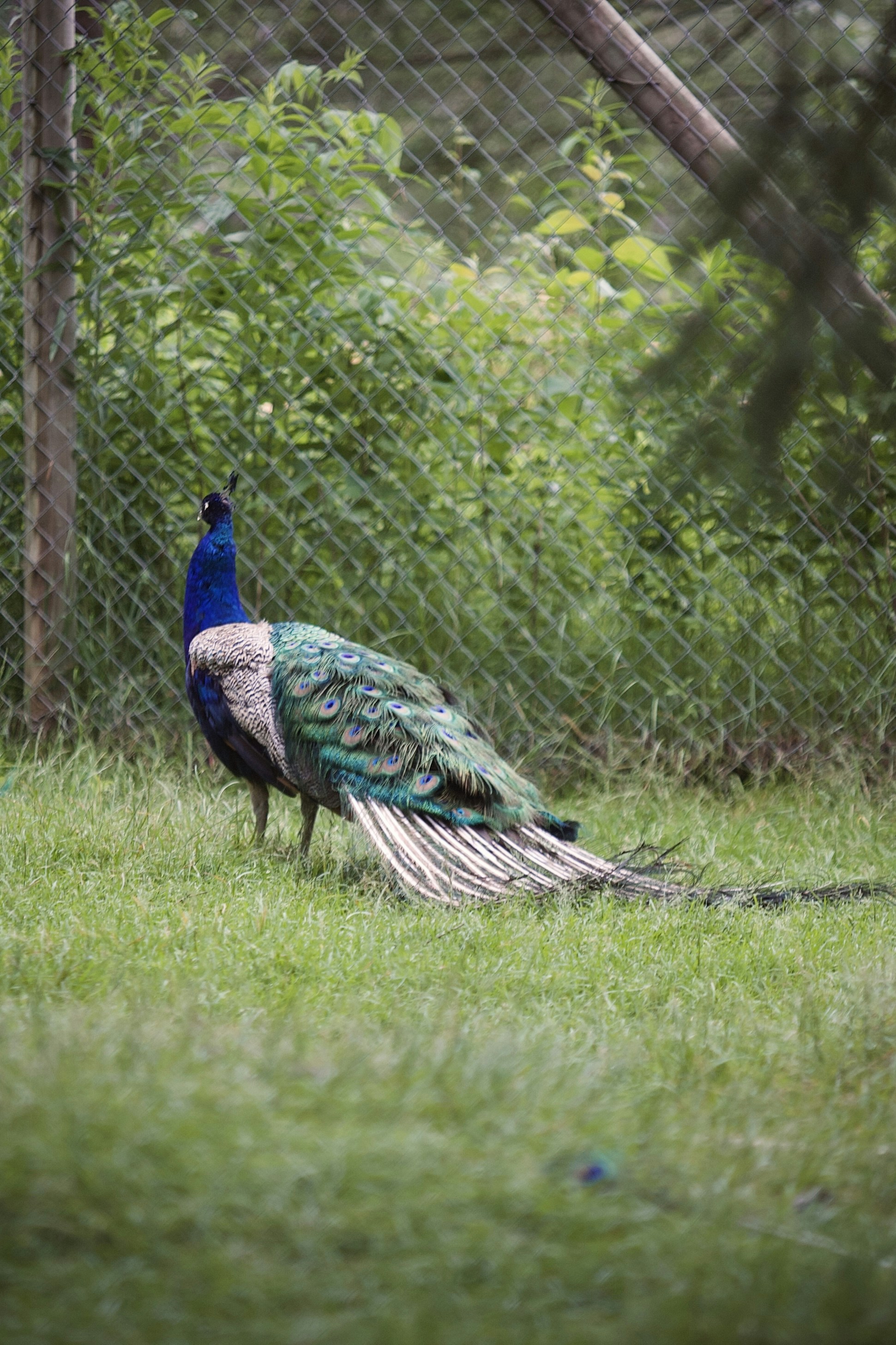 Photo by kristinokarlsen