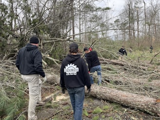 A group of individuals are engaged in clearing fallen trees and branches in a wooded area. They appear to be part of a work crew, wearing casual outdoor clothing and gloves. The surroundings are dense with leafless trees, and the ground is scattered with tree debris, indicating recent storm damage.
