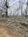 A large number of fallen tree branches are piled on the ground, surrounded by leafless trees. The scene suggests a forest area after tree cutting or storm damage.