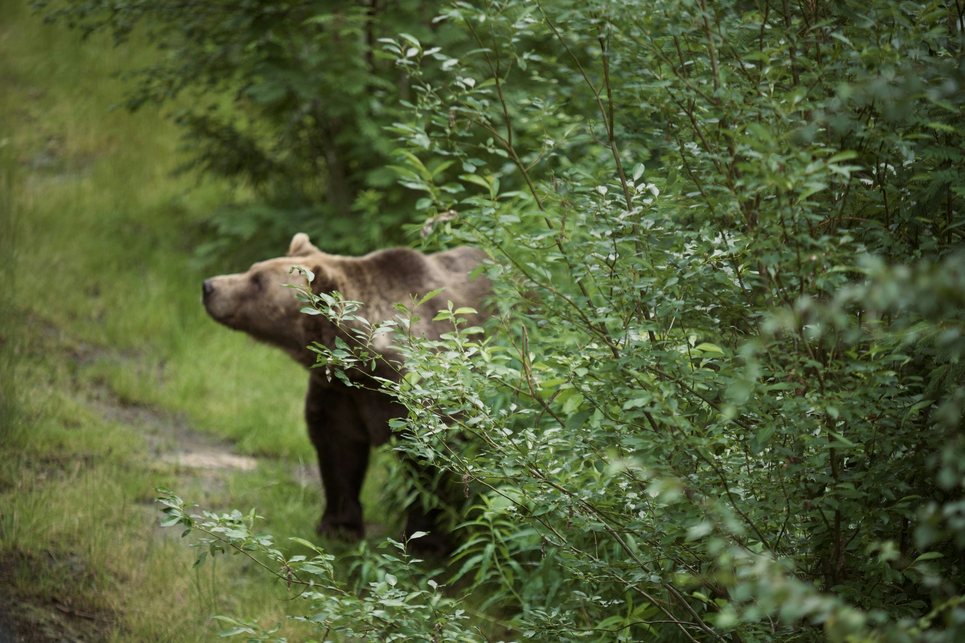 Photo by kristinokarlsen