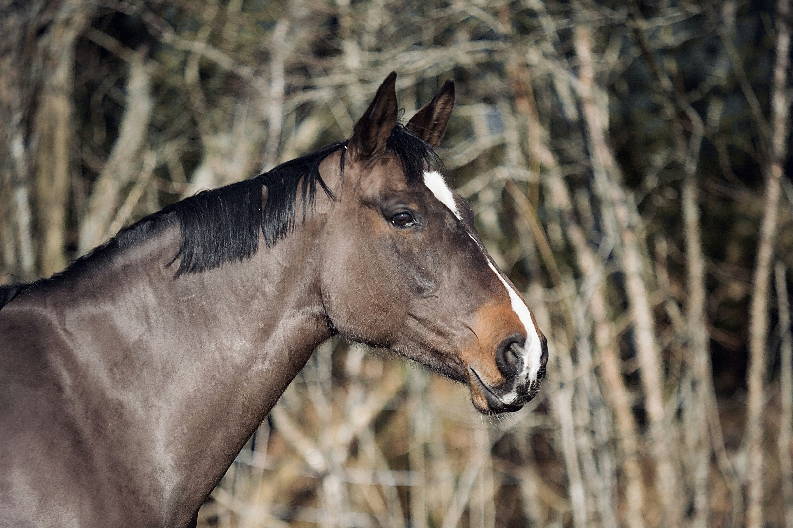Photo by kristinokarlsen