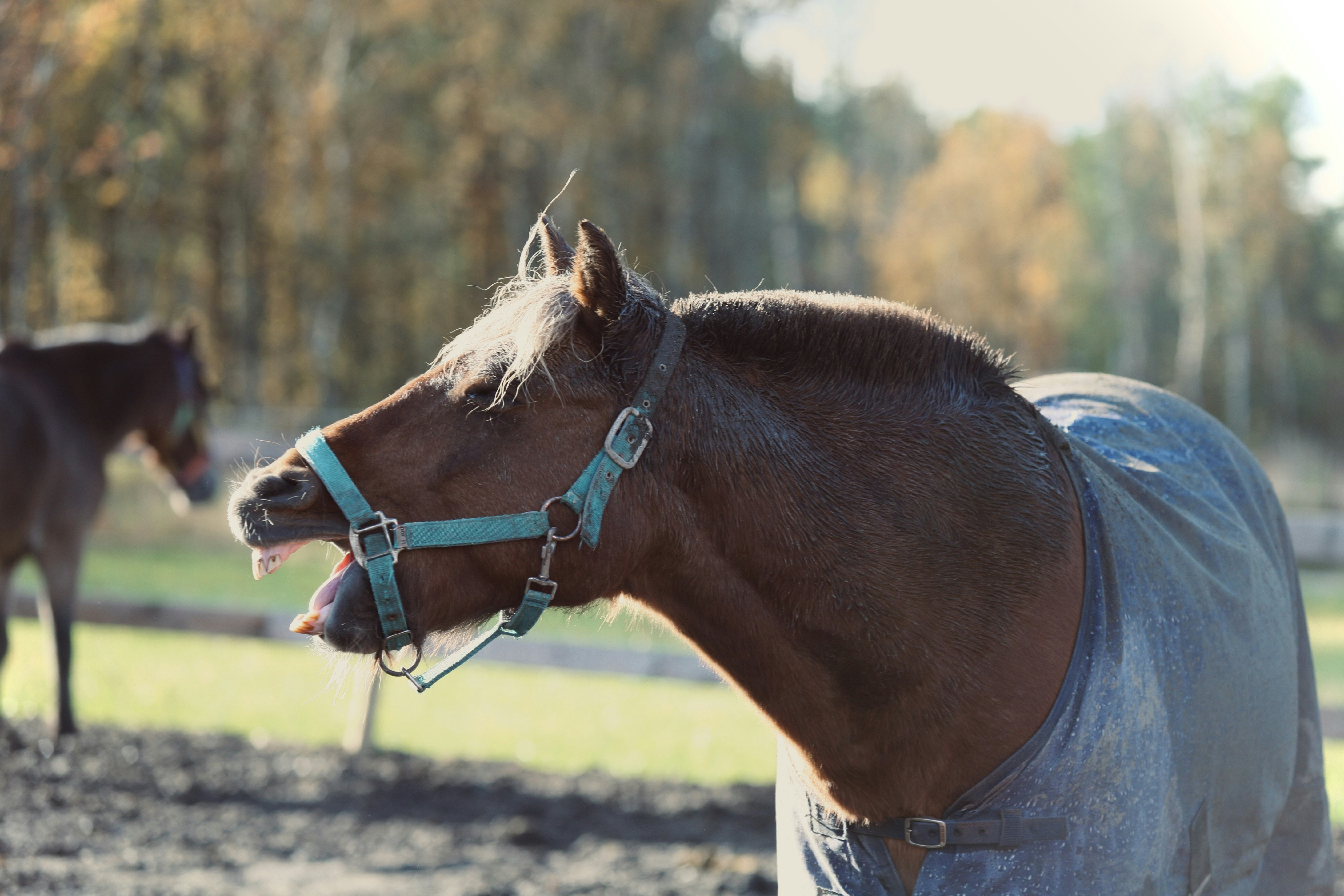 Photo by kristinokarlsen